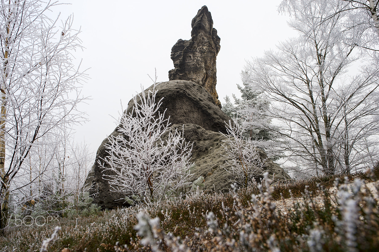 Nikon Df + Nikon AF-S Nikkor 24mm F1.8G ED sample photo. Dsc photography