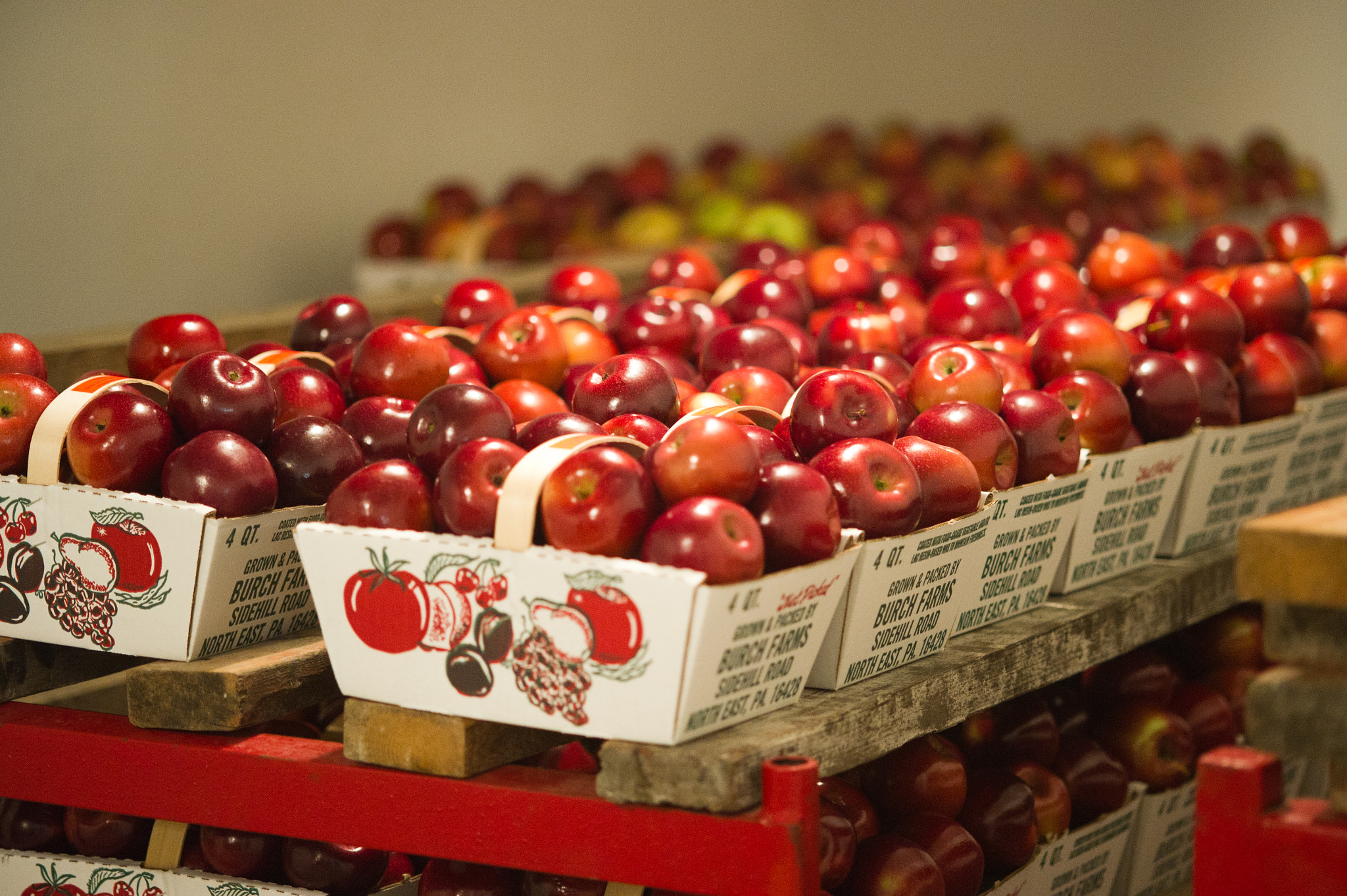 Nikon D3S sample photo. Apples packaged for sale photography