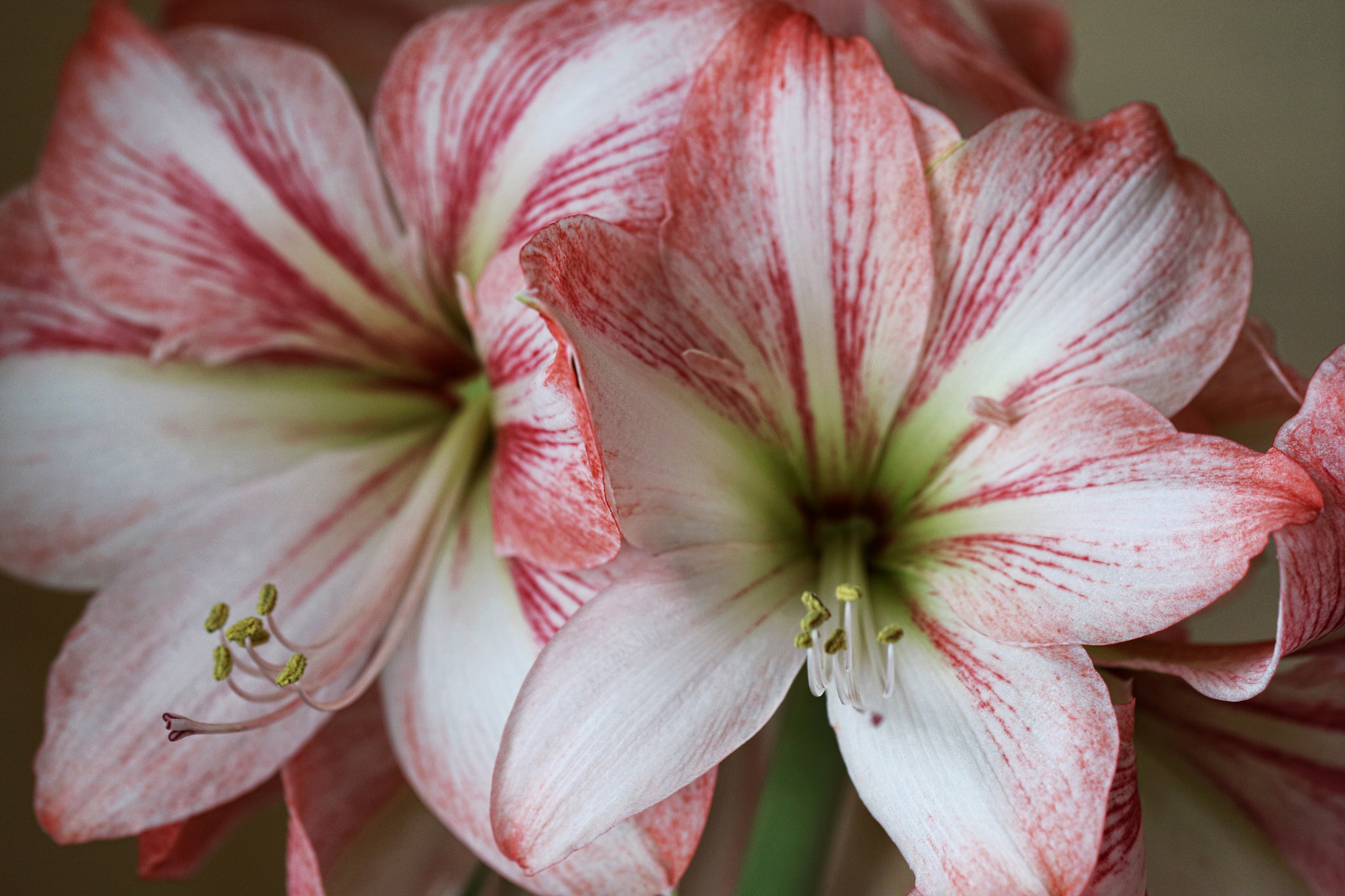 Canon EOS M3 sample photo