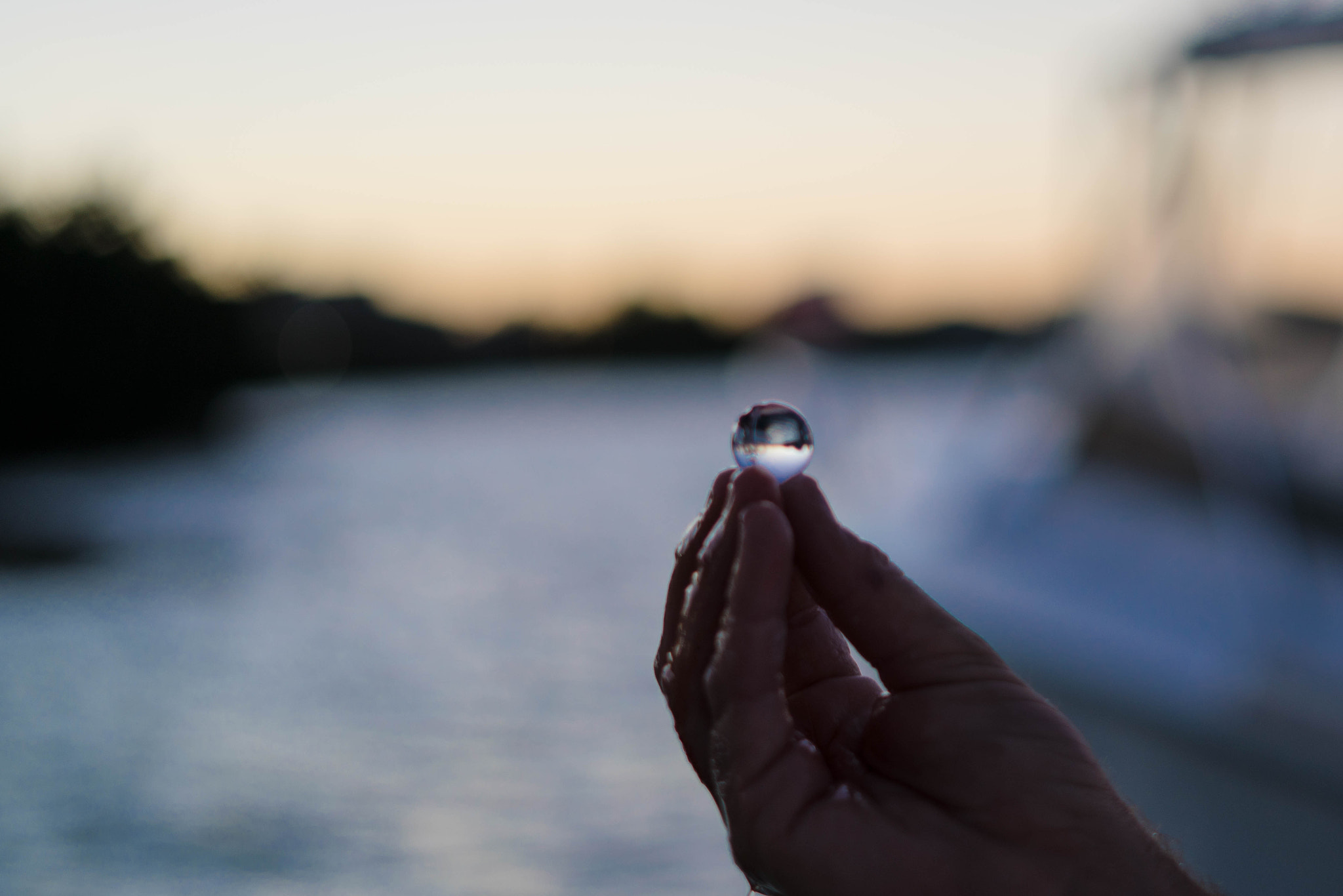 Sony a7R II + Sony FE 50mm F1.8 sample photo. Through the eye of a swordfish. photography
