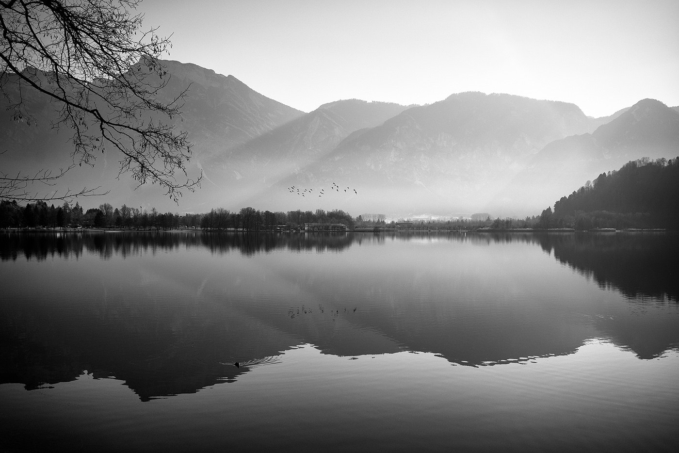 Sony a7R II + Sony Sonnar T* FE 35mm F2.8 ZA sample photo. Birds on the lake photography