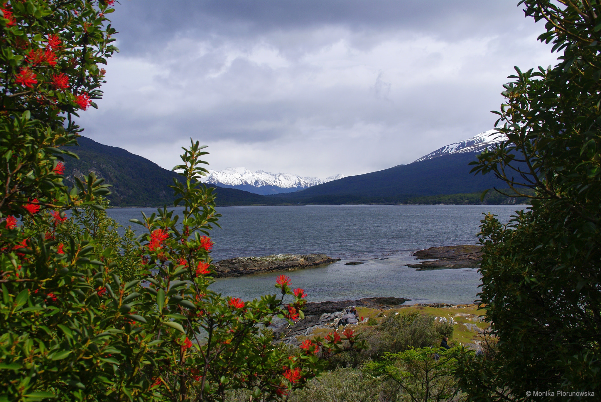 Sony Alpha DSLR-A300 sample photo. Tierra del fuego photography