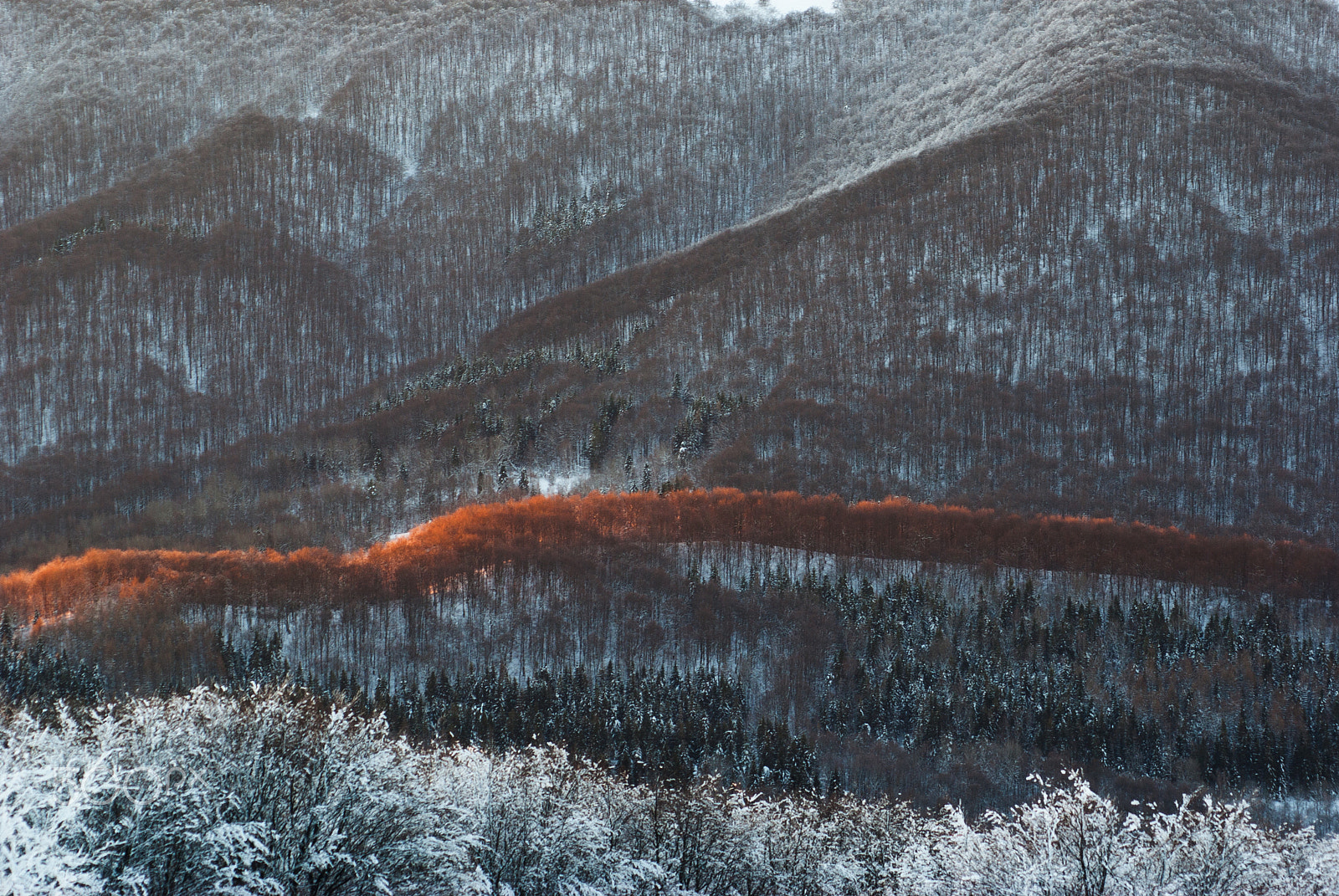 Pentax K10D + smc PENTAX-F 70-210mm F4-5.6 sample photo. Bieszczady mountains photography