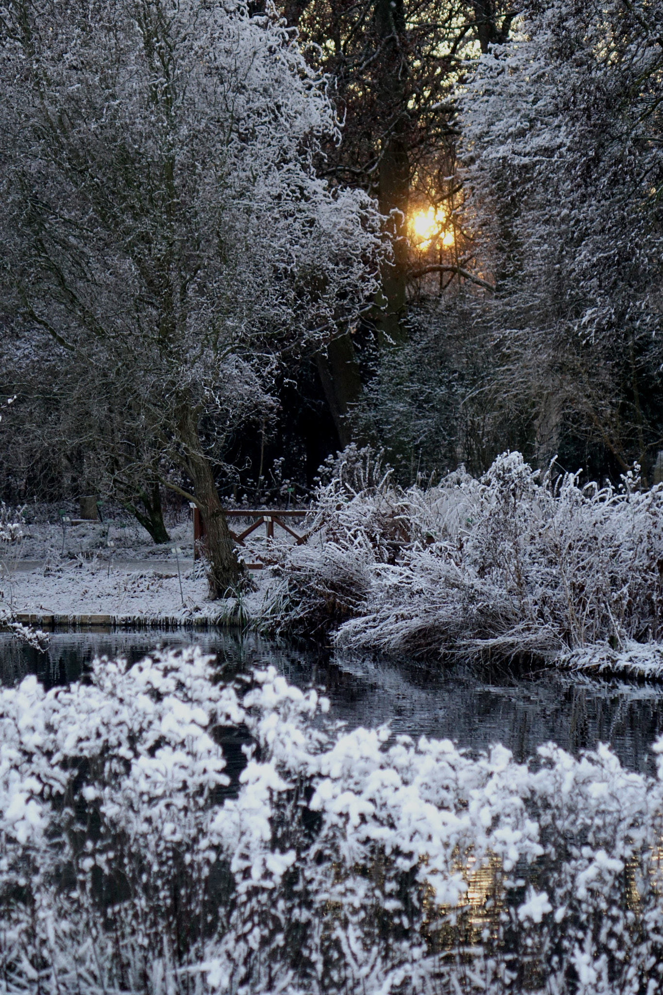 Sony Cyber-shot DSC-RX10 sample photo. Winter feeling photography