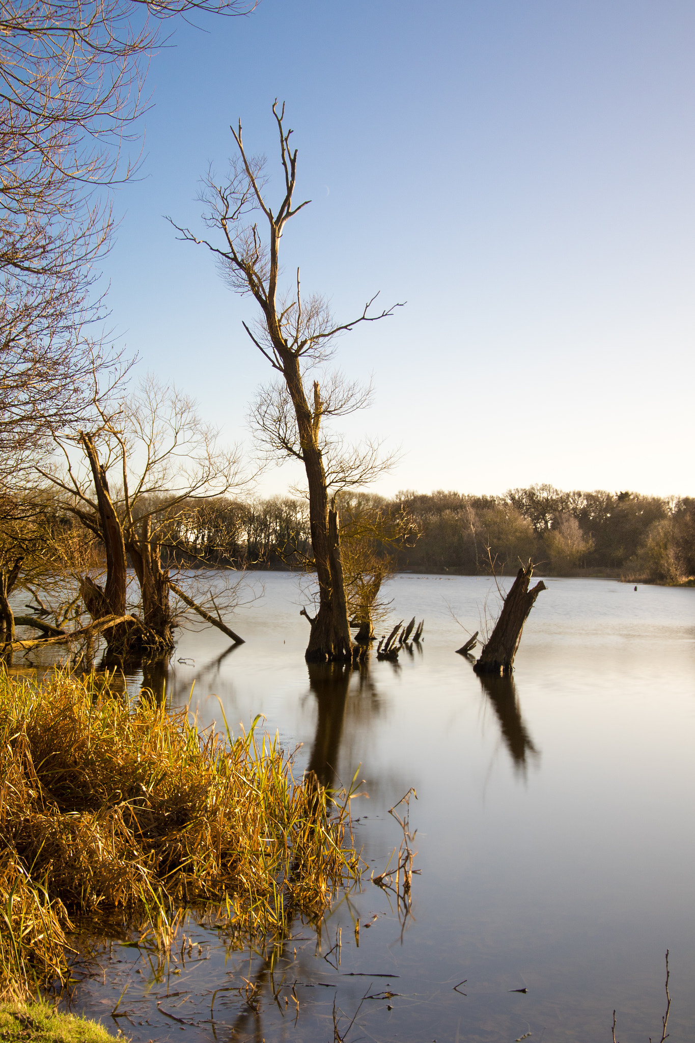Canon EF 24-105mm F3.5-5.6 IS STM sample photo. Seeswood pool photography