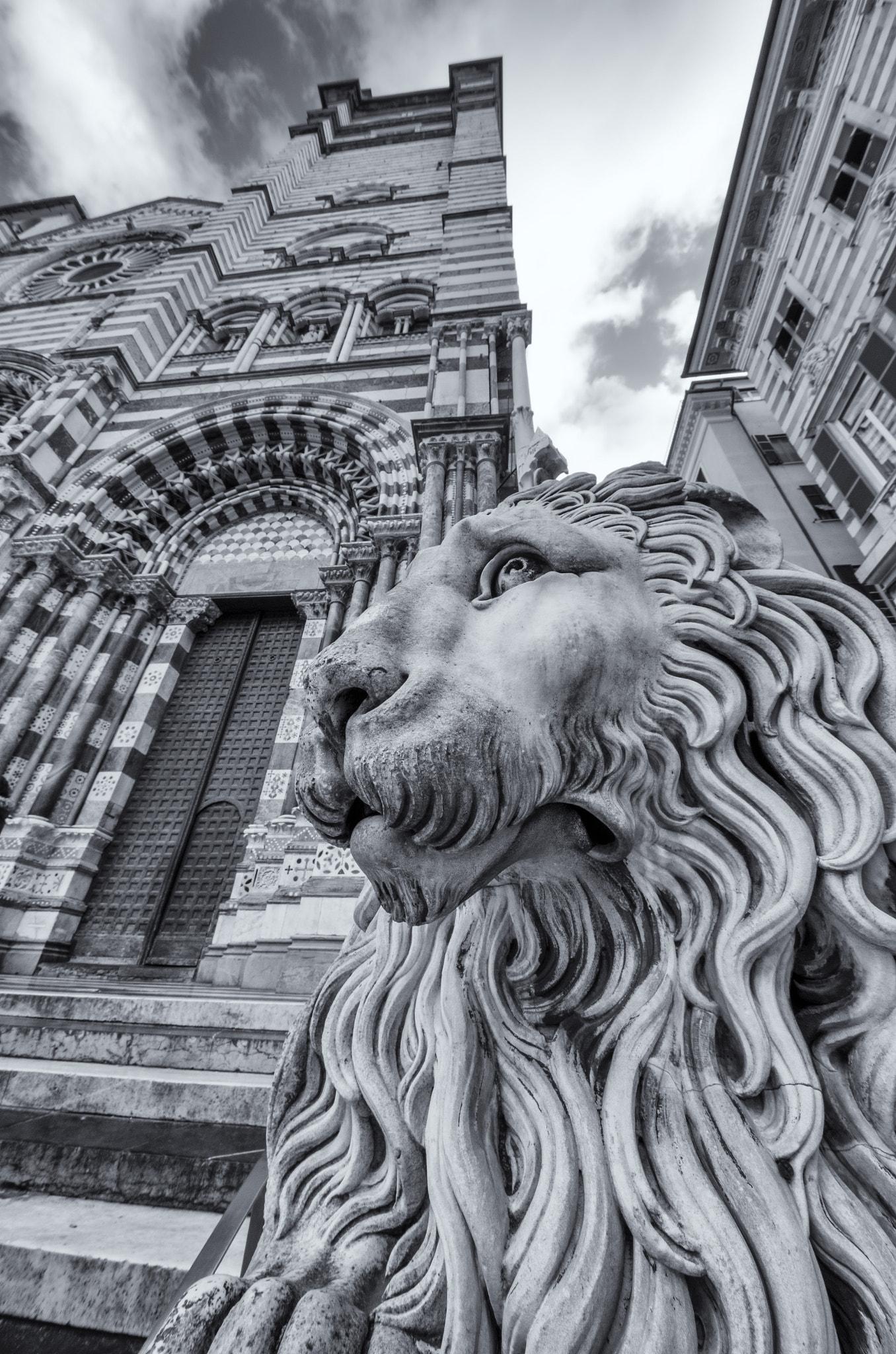 Sigma 8-16mm F4.5-5.6 DC HSM sample photo. Leone di san lorenzo genova photography