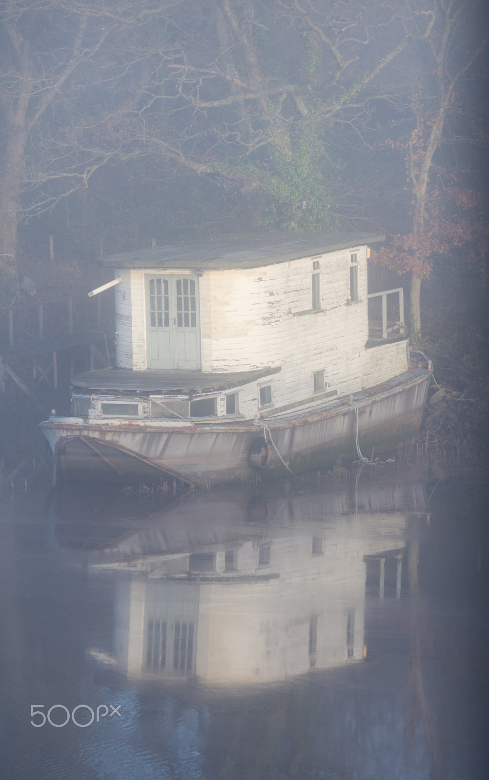 Nikon D7200 sample photo. Reflection in the mist photography