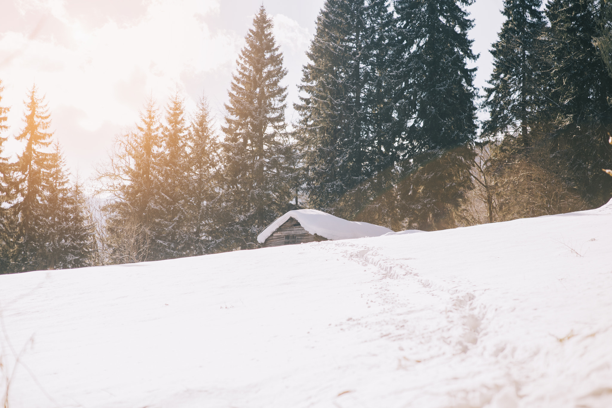 Nikon D610 + Sigma 85mm F1.4 EX DG HSM sample photo. Wooden hut photography