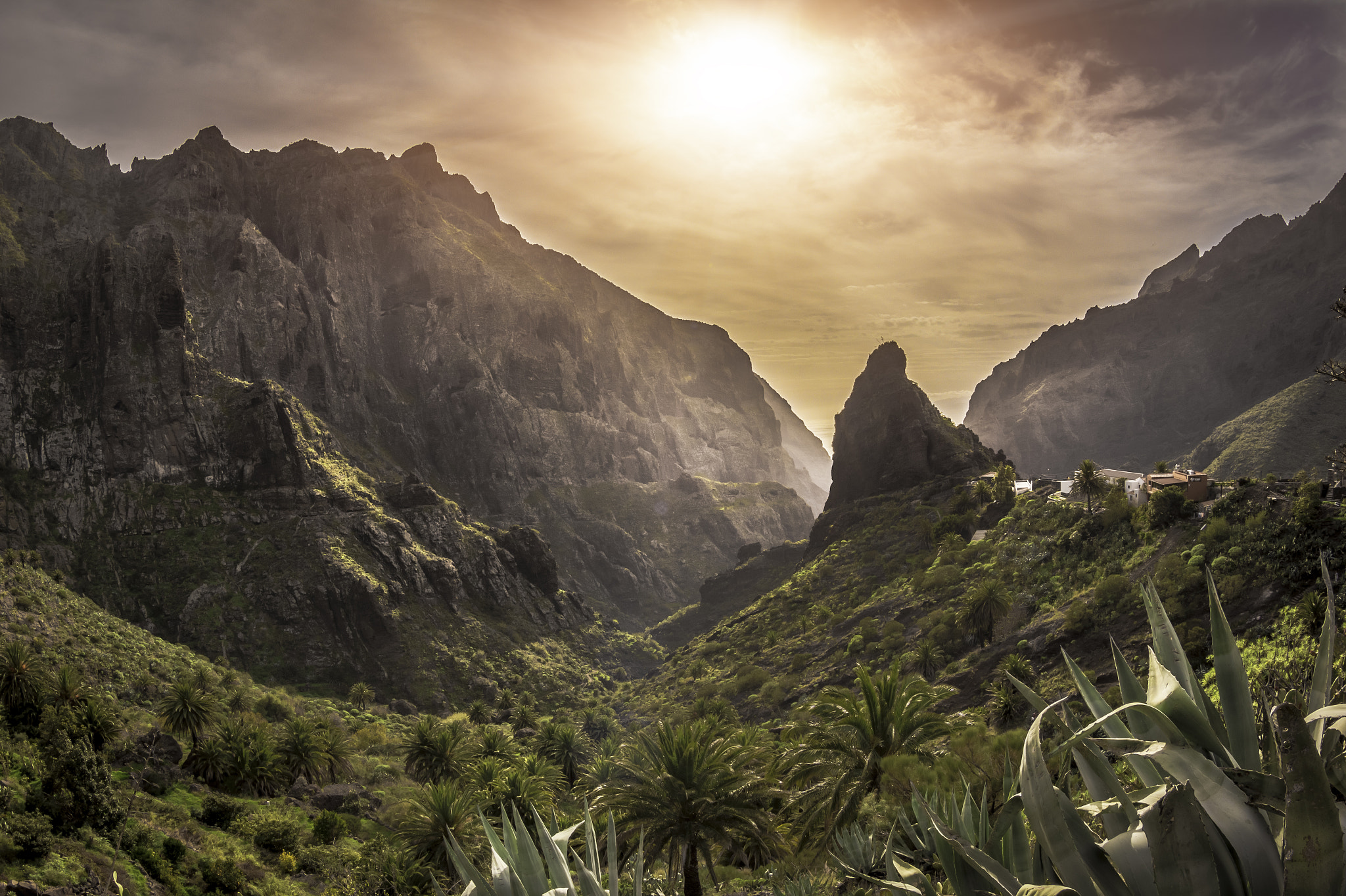 Canon EF 8-15mm F4L Fisheye USM sample photo. Masca, tenerife photography