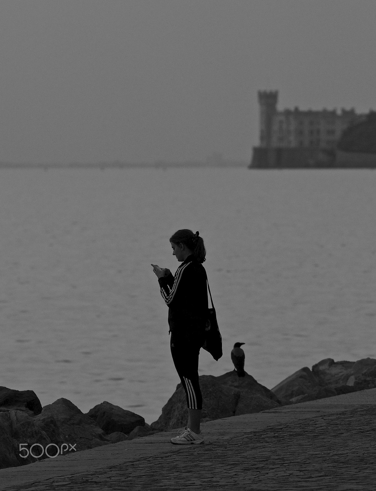 Canon EOS 6D + Canon EF 300mm F4L IS USM sample photo. The crow photography