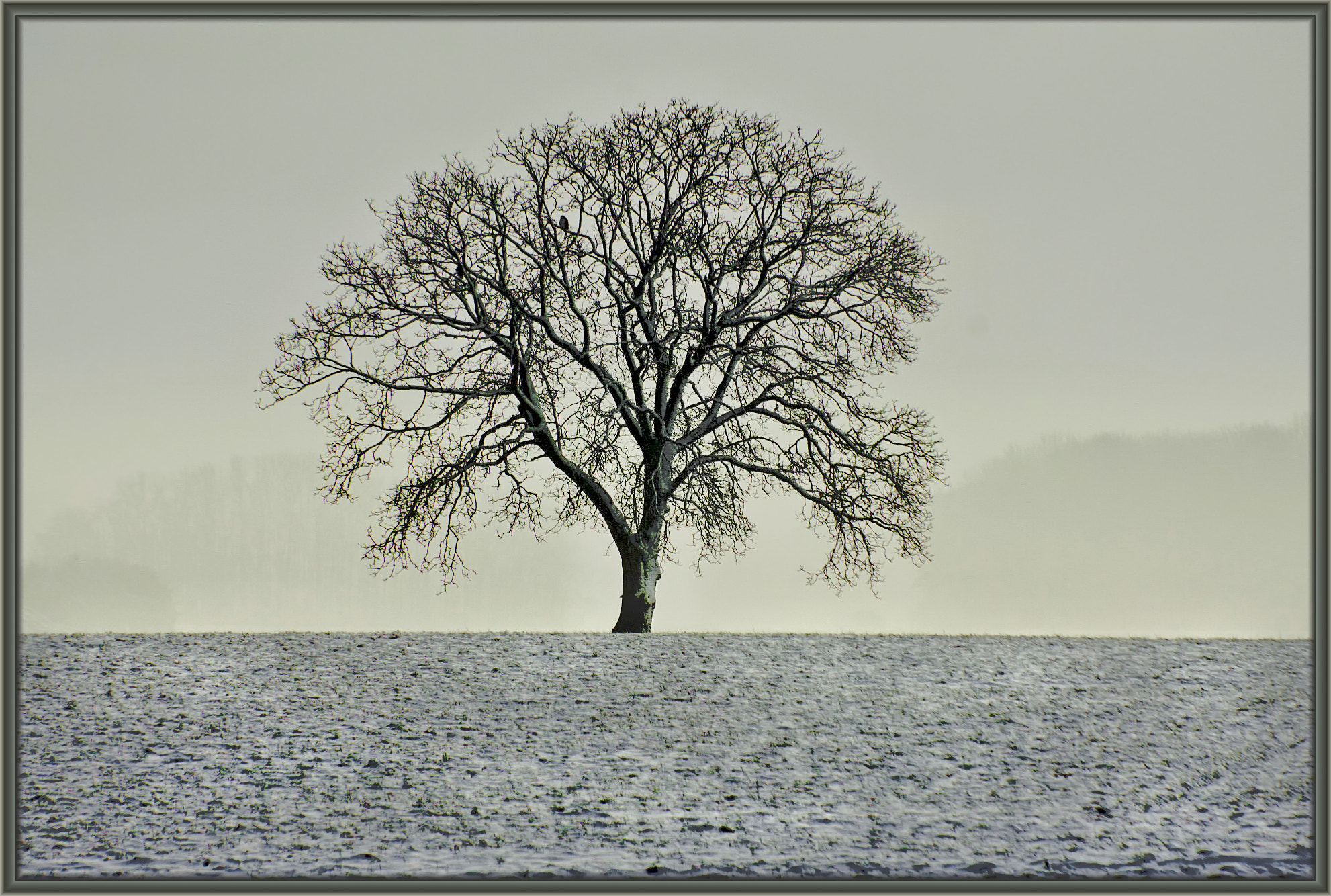 Canon EF 70-300mm F4-5.6 IS USM sample photo. Winter photography