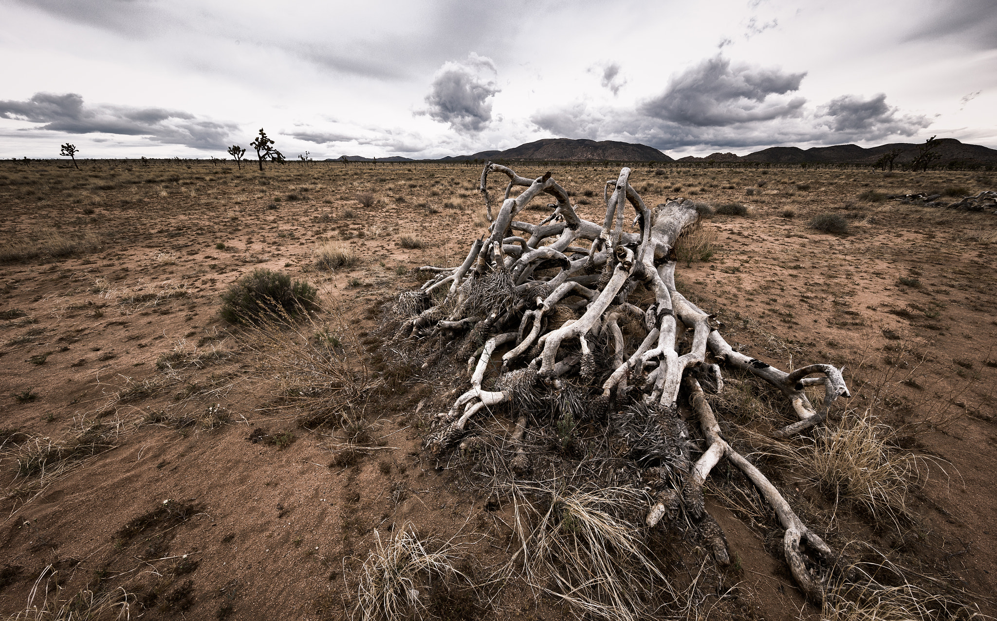 Canon EOS 6D + Canon EF 11-24mm F4L USM sample photo. The land of little rain photography