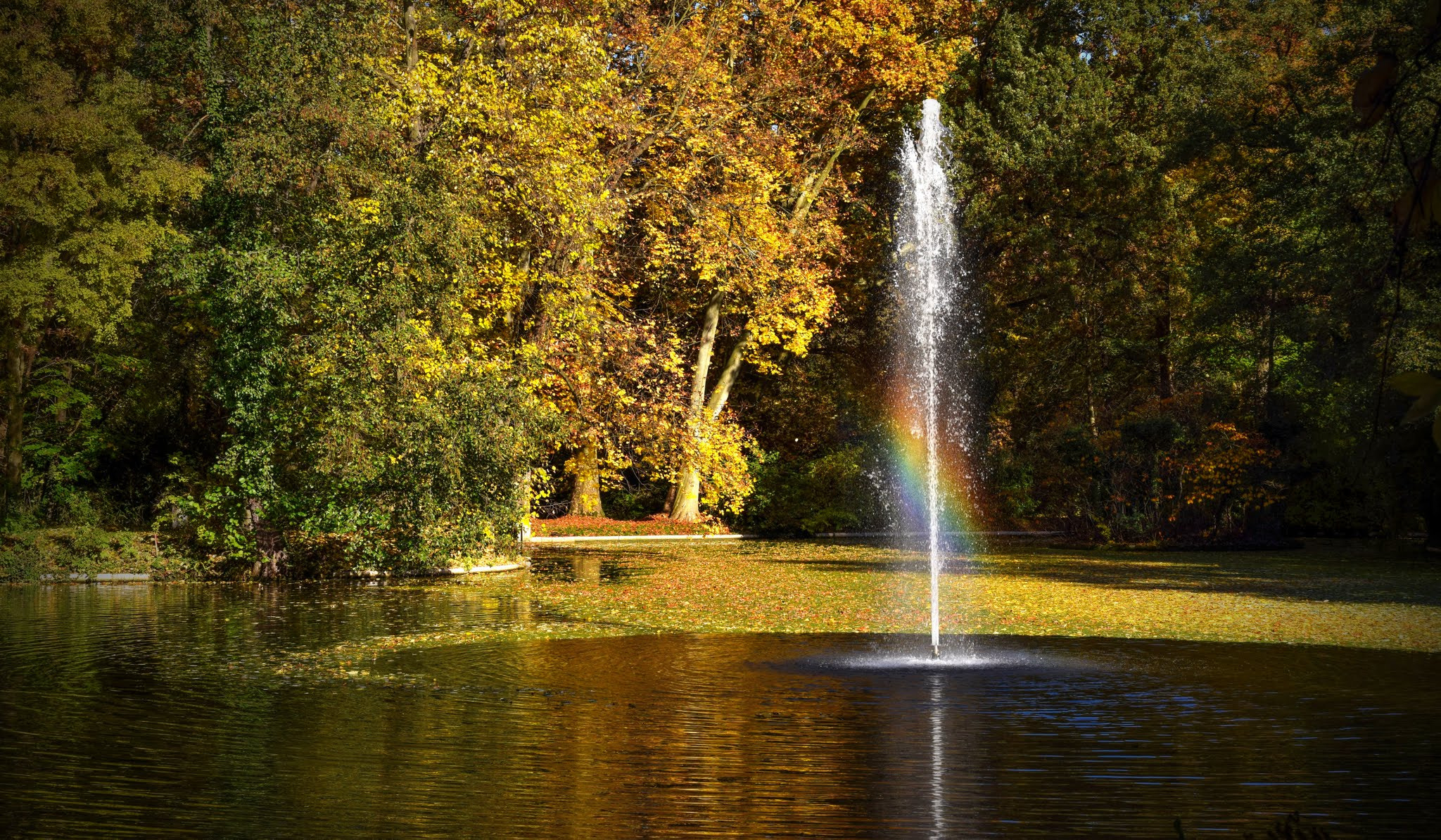 Sigma 17-70mm F2.8-4 DC Macro OS HSM | C sample photo. A slice of rainbow. photography