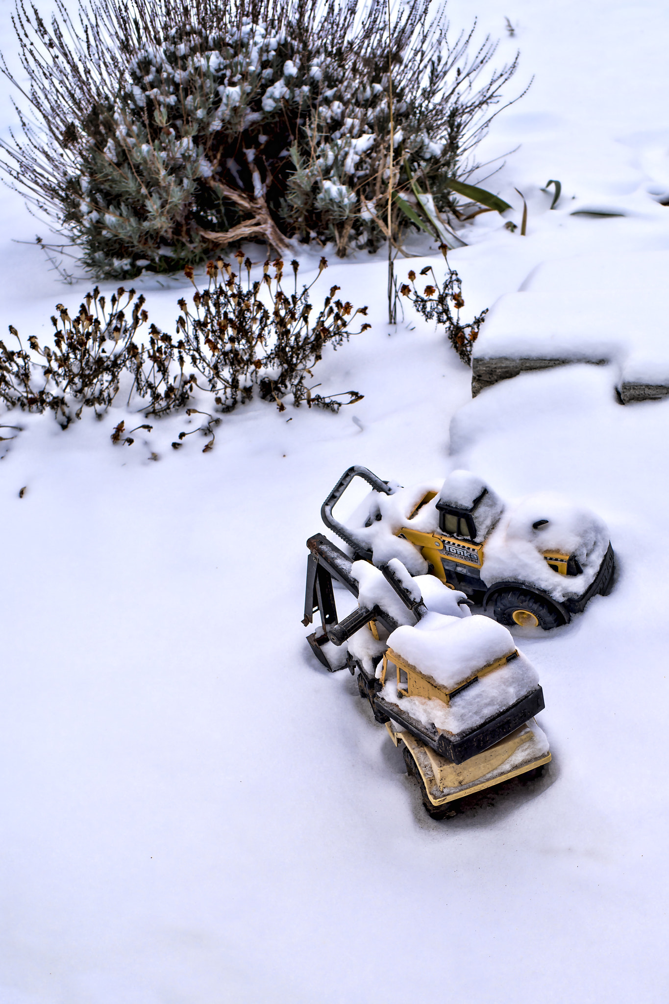 Pentax K-1 sample photo. Snowy blanket photography