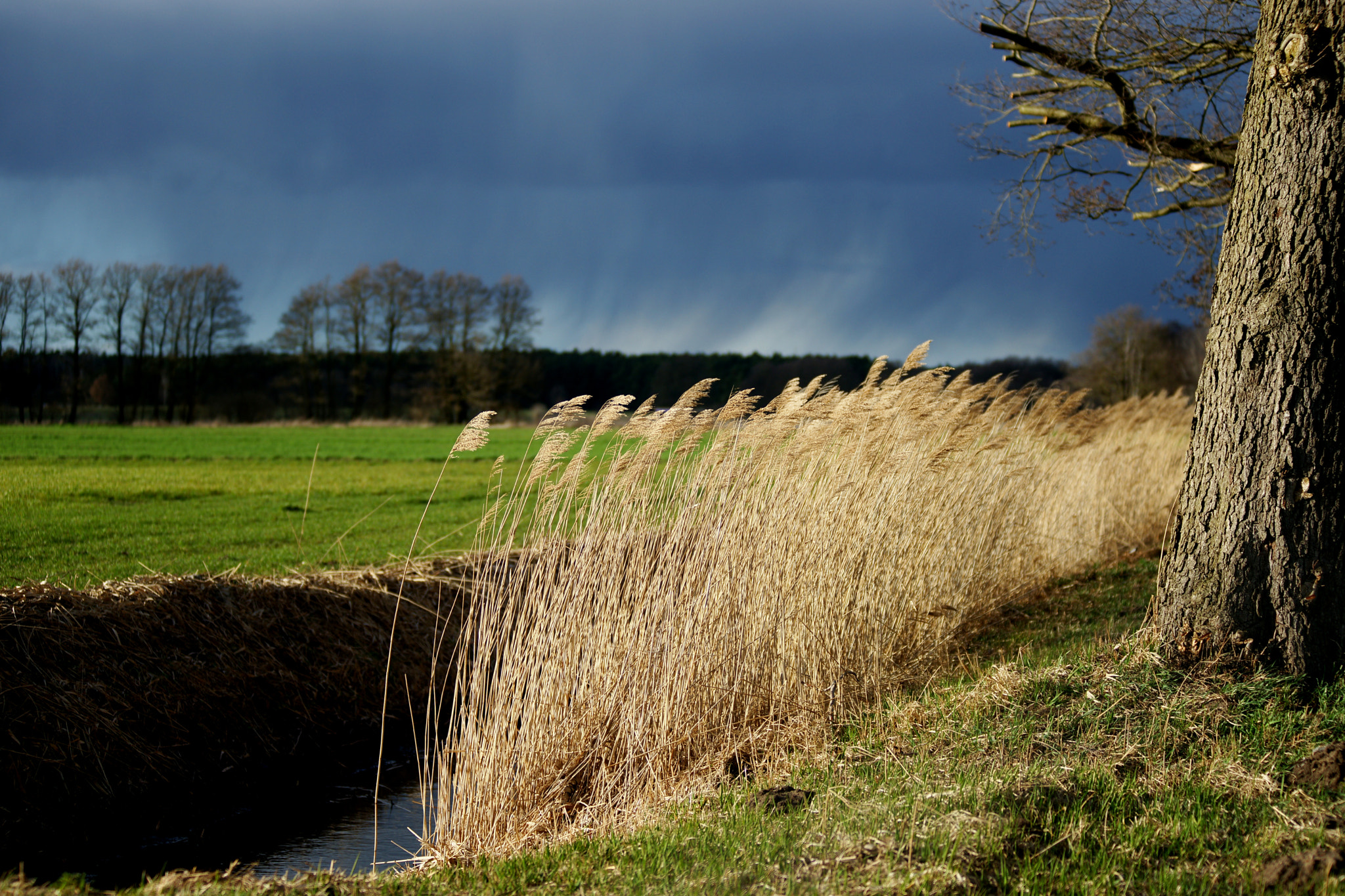 Sony Alpha DSLR-A900 sample photo. Schlunkendorf ii photography