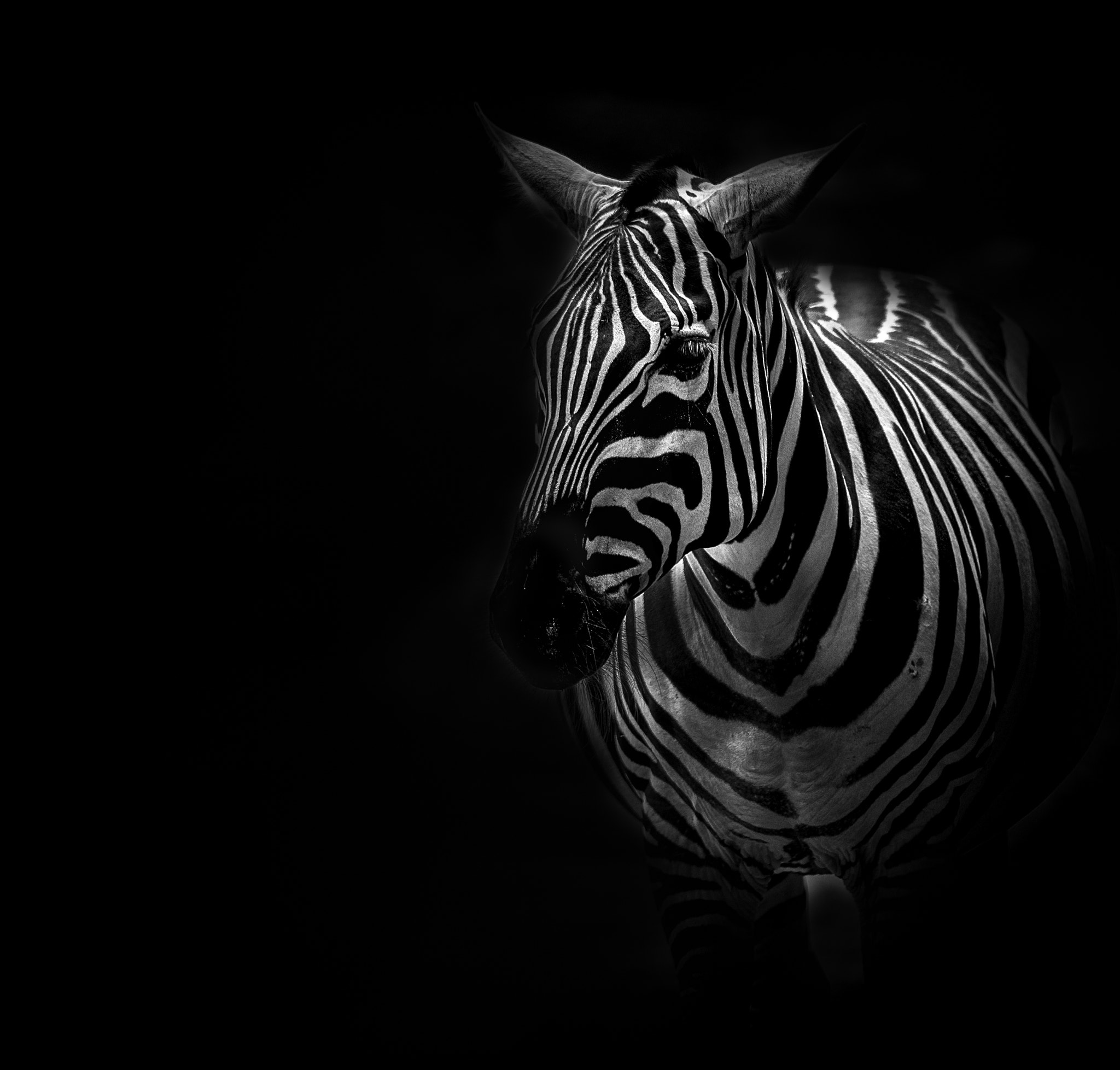 Nikon AF-S Nikkor 70-200mm F2.8G ED VR II sample photo. Stripes photography