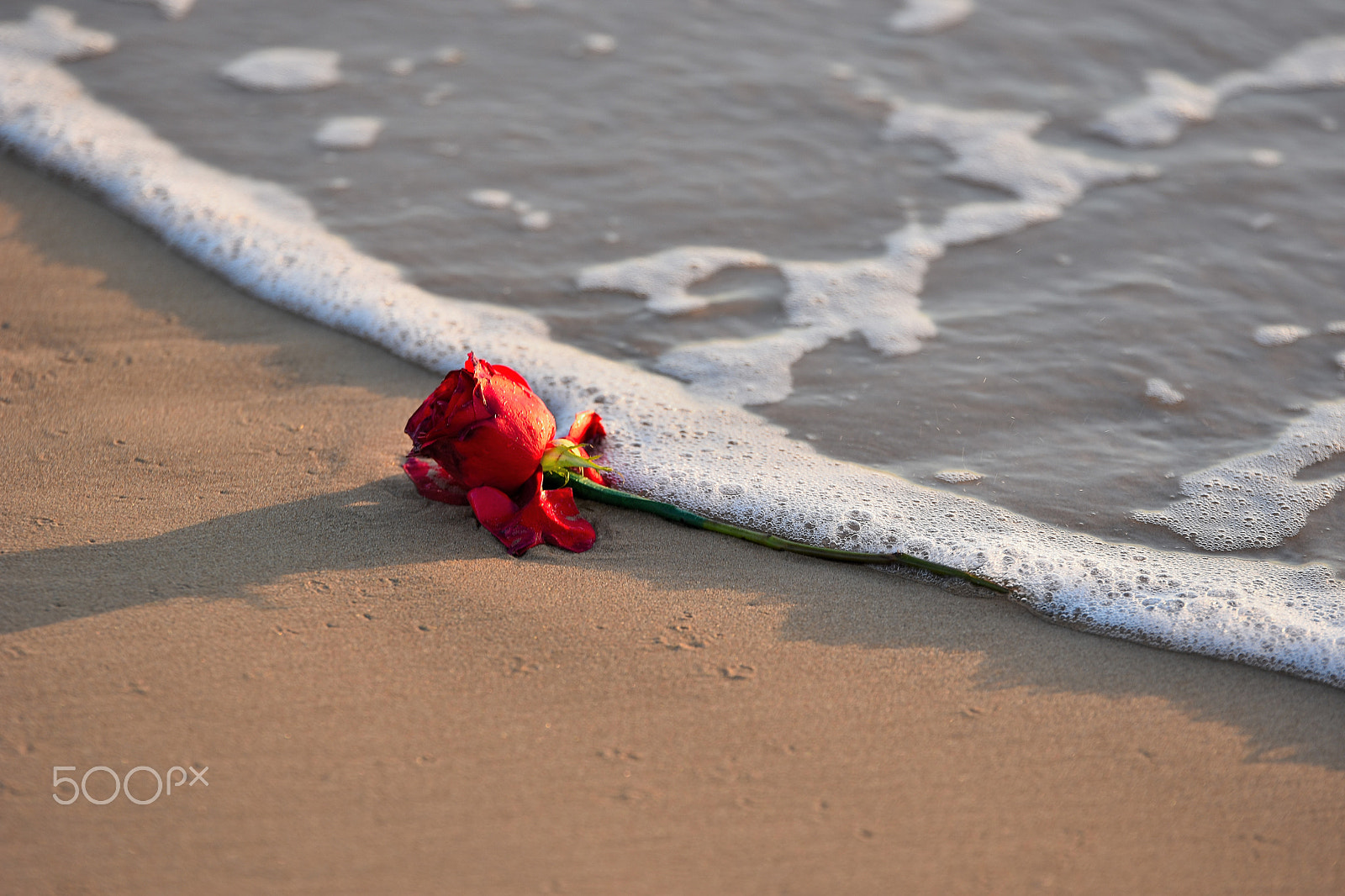 Tamron SP 70-200mm F2.8 Di VC USD sample photo. In memory of the victims of the attack in istanbul (1-1-17) photography