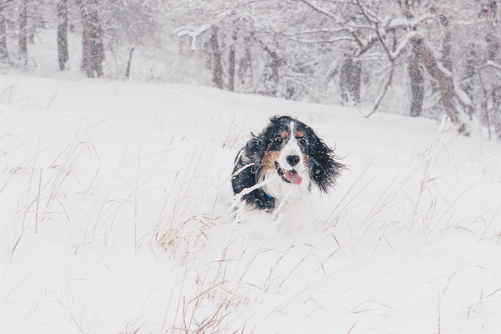 EF28-70mm f/2.8L USM sample photo. Driving snow photography