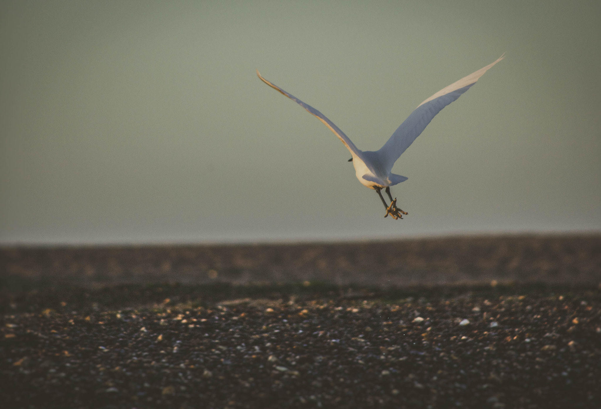 EF75-300mm f/4-5.6 sample photo. Mg photography
