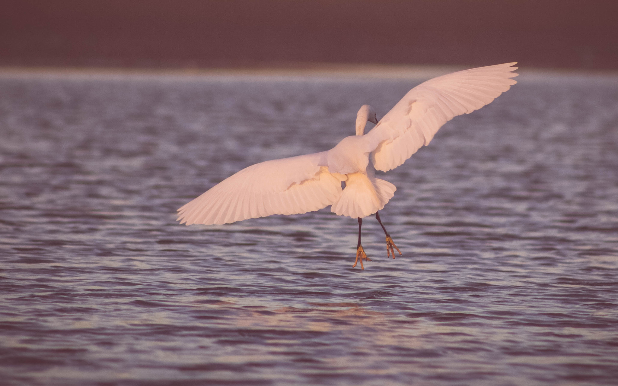 EF75-300mm f/4-5.6 sample photo. Mg photography