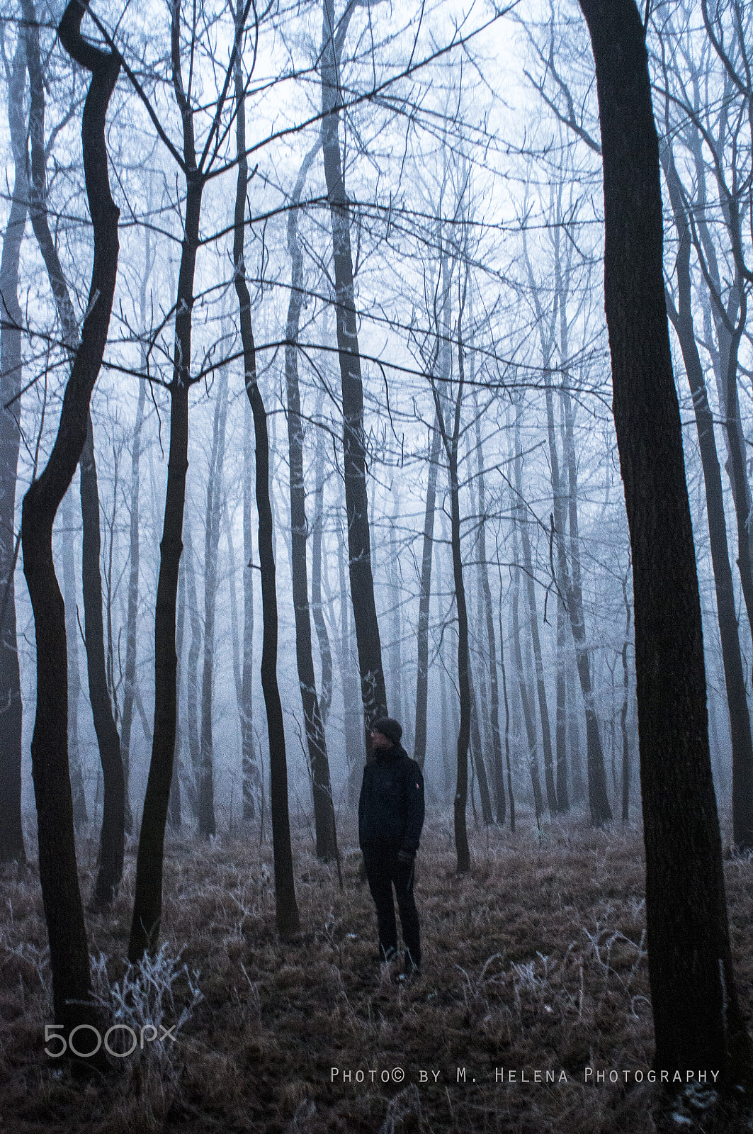 Nikon D300 sample photo. A man in the wood (far far 1.) photography