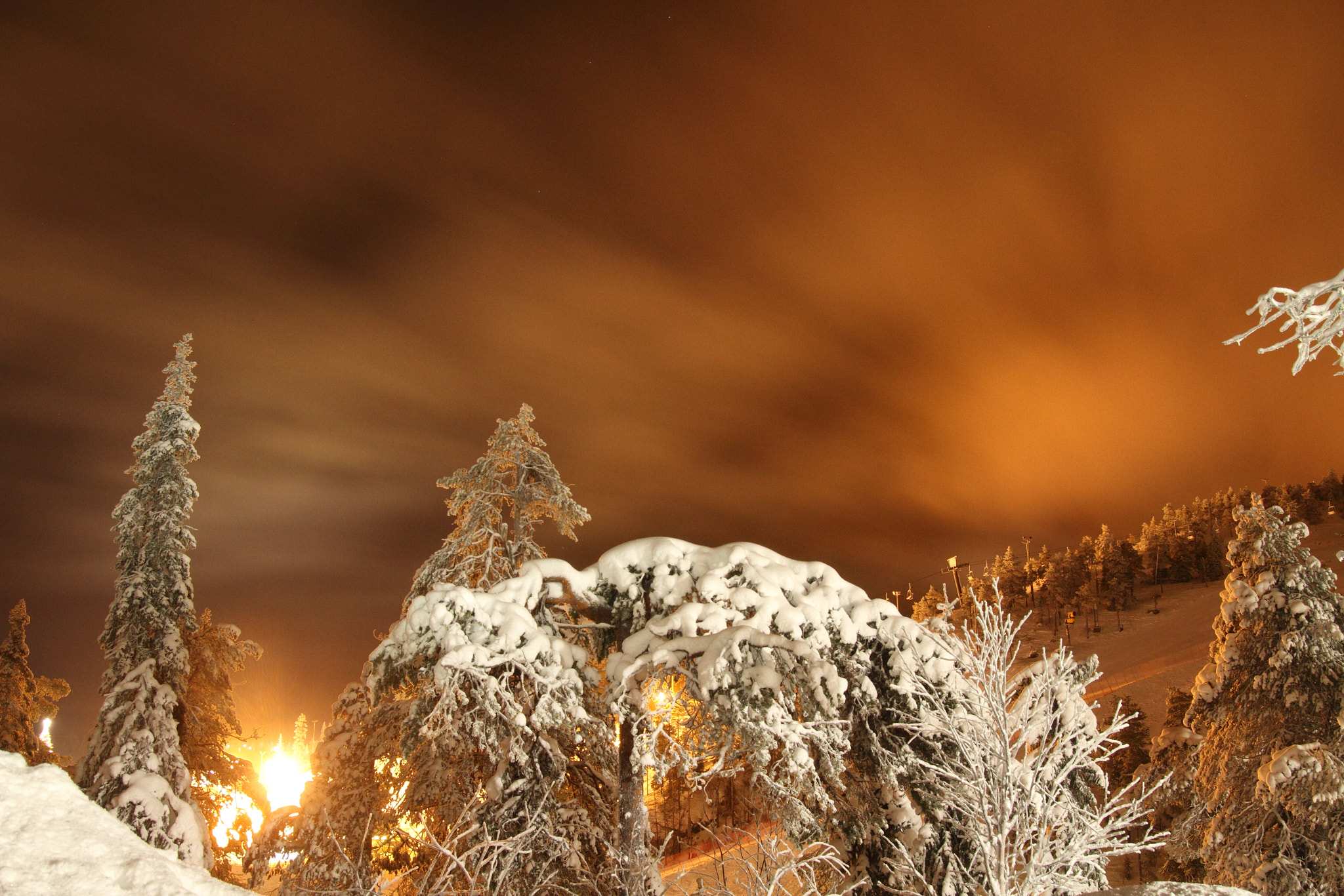 Canon EOS 7D + Sigma 18-50mm f/2.8 Macro sample photo. Snow packed trees in ruka photography