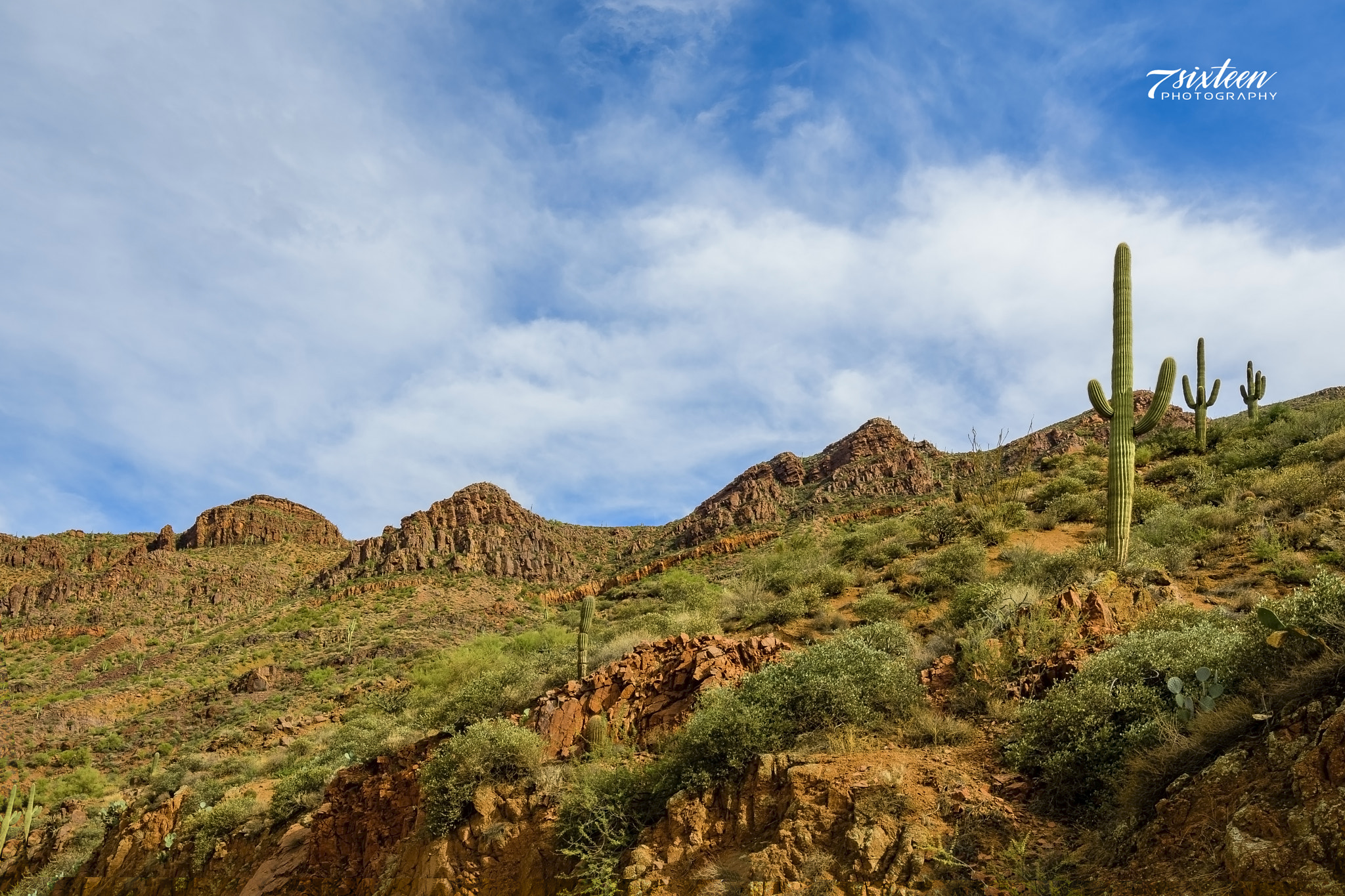 Nikon D500 sample photo. Desert landscape photography