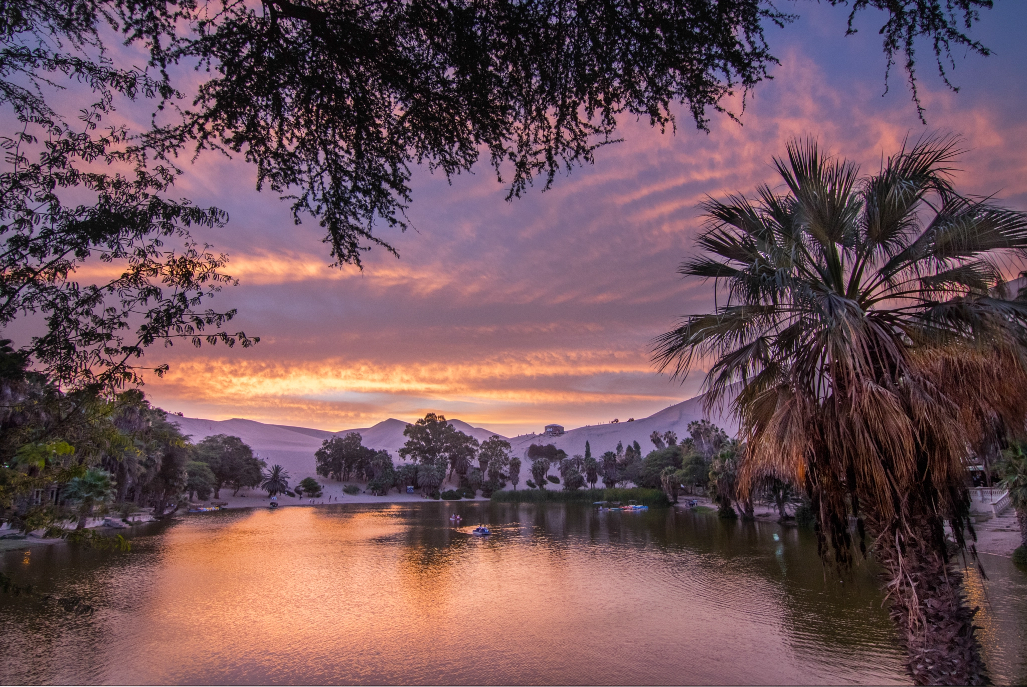 Canon EOS 760D (EOS Rebel T6s / EOS 8000D) sample photo. Sunset in the oasis - huacachina, peru photography