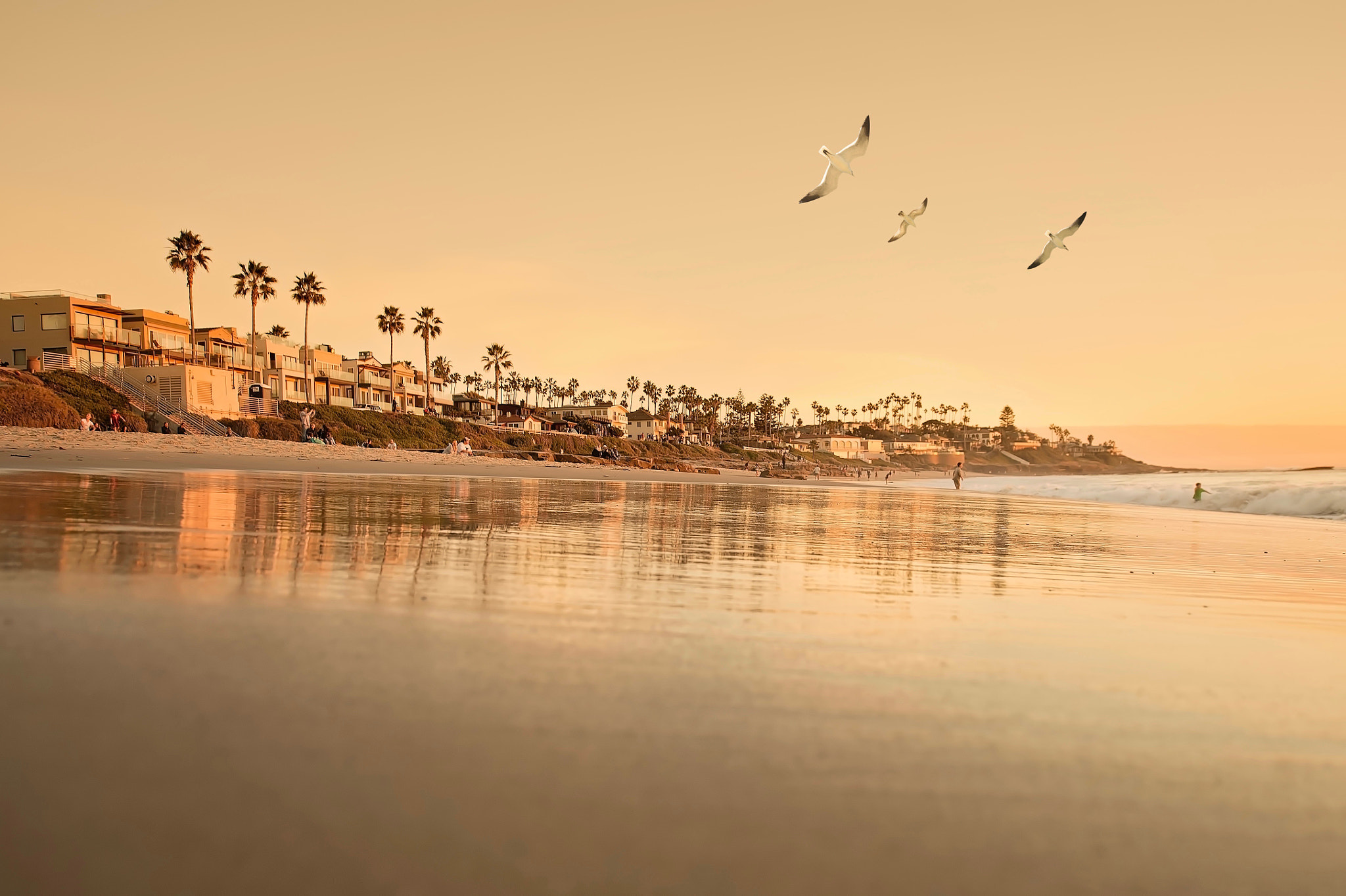 Nikon D4S sample photo. Shores of la jolla photography