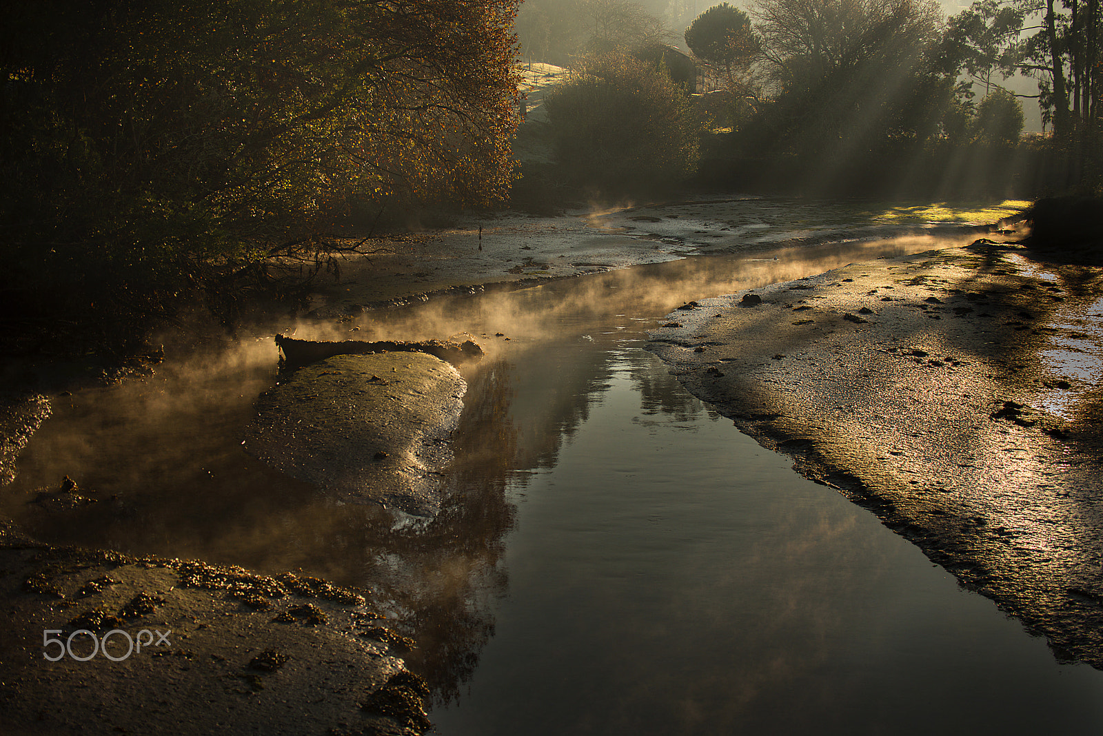 Nikon D750 + Sigma 50-500mm F4.5-6.3 DG OS HSM sample photo. Rrimeros rayos de luz en el río coves photography