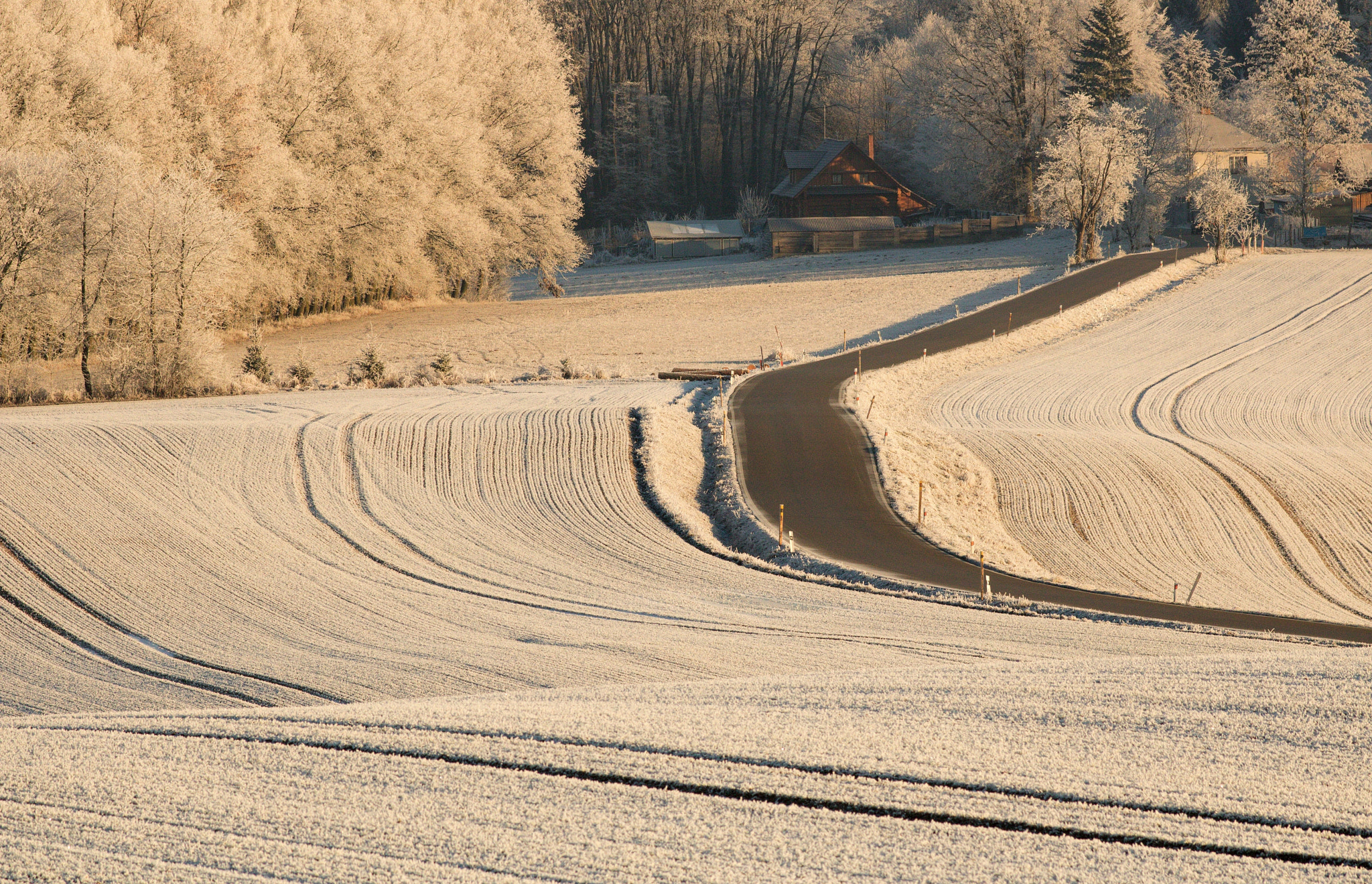 Canon EF 200mm F2.8L II USM sample photo. Frozen morning ii photography