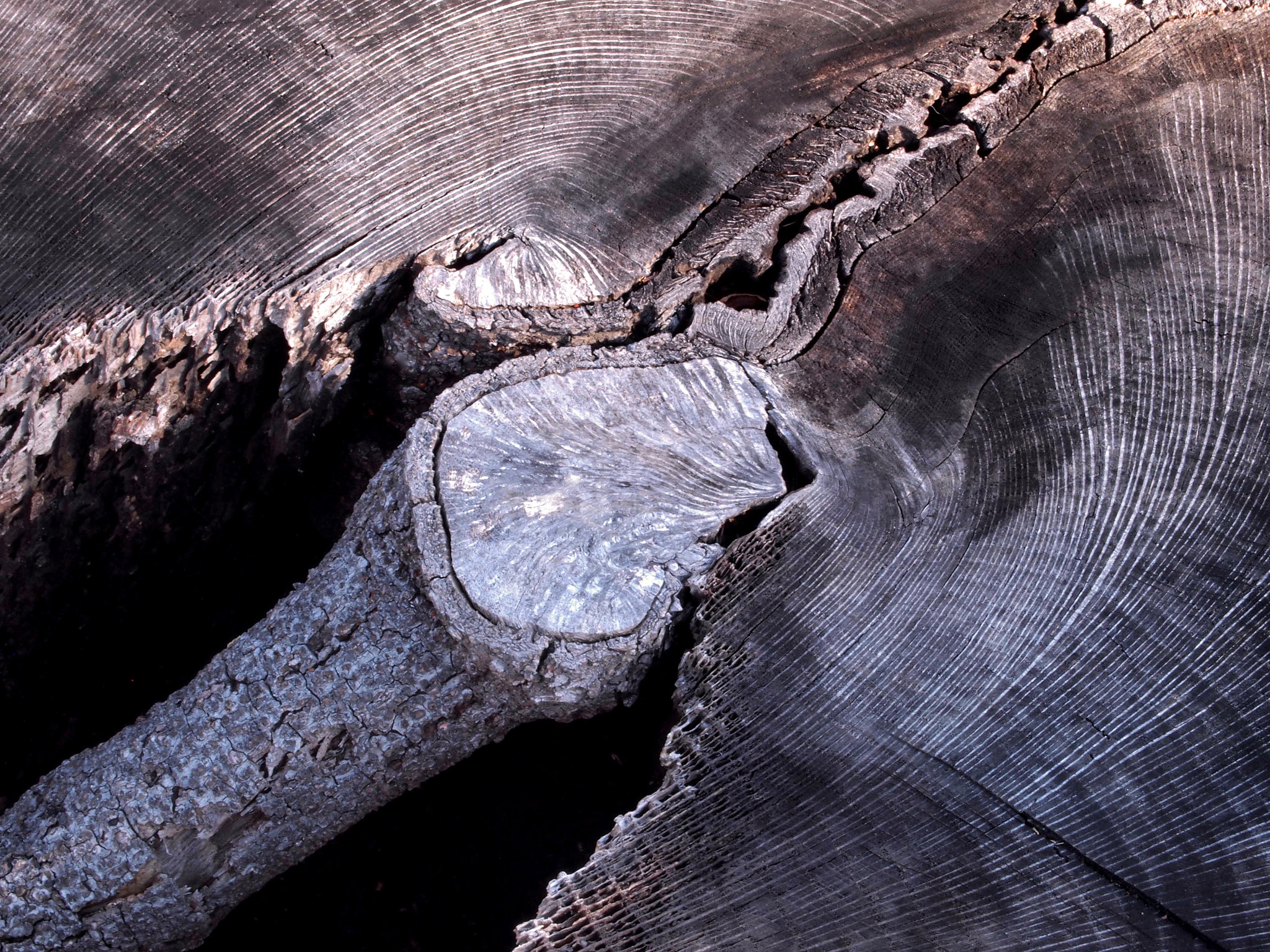 Olympus PEN E-PL1 sample photo. Landscape abstract plainville conn. photography