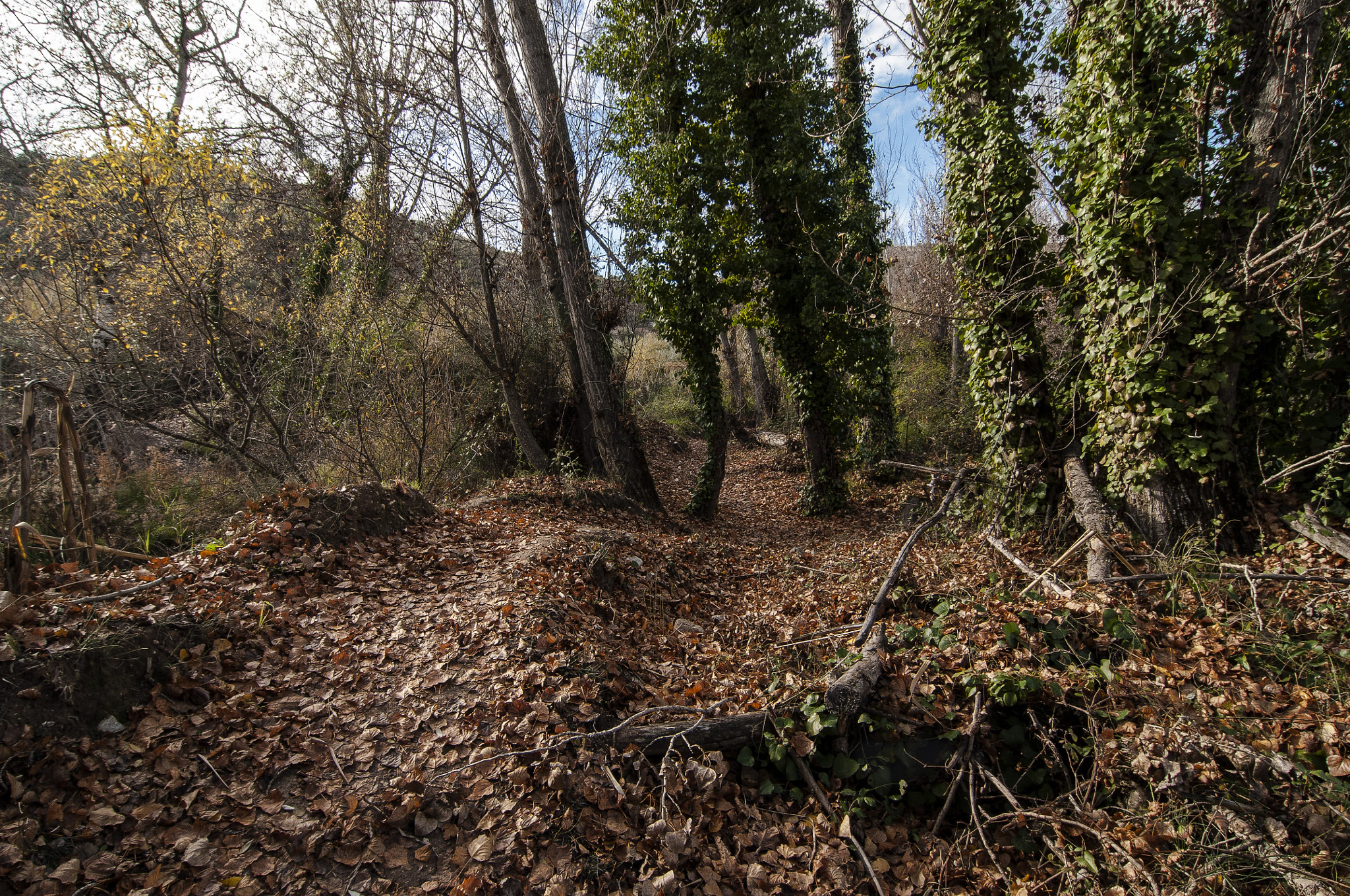 Tokina AT-X Pro 12-24mm F4 (IF) DX sample photo. Contrastes de la naturaleza photography