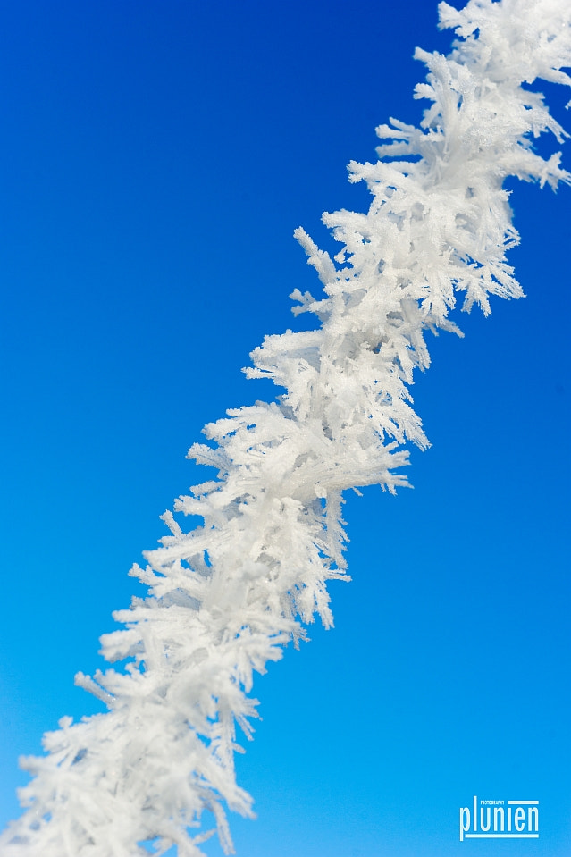 Sony SLT-A99V sample photo. Winter photography
