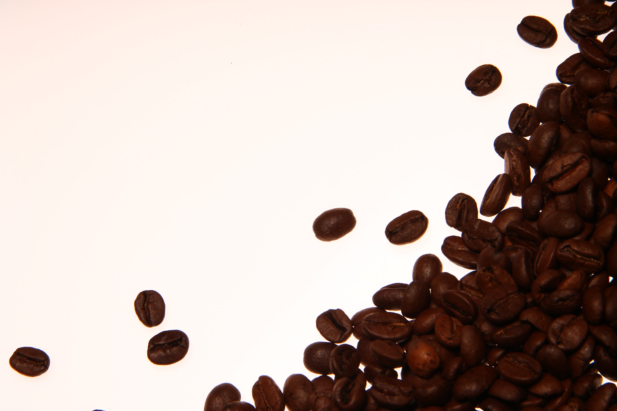 Canon EF-S 18-135mm F3.5-5.6 IS sample photo. Coffee beans photography