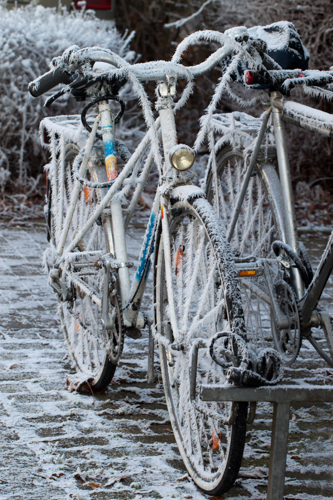 Canon EF 100mm F2.8L Macro IS USM sample photo. Winter bicycle photography