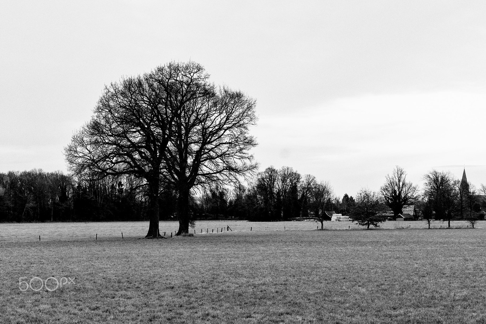 Sony a6300 + Sony Sonnar T* FE 55mm F1.8 ZA sample photo. Ijsbaanweg, goor, the netherlands photography