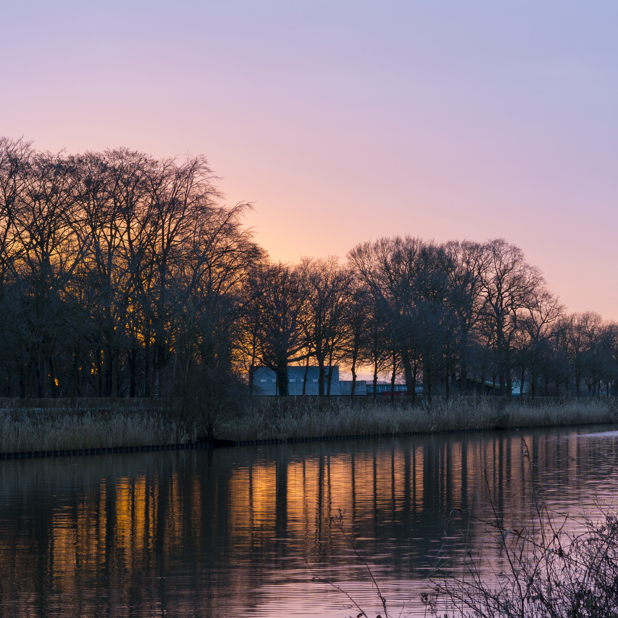 Sony a6300 + Sony Sonnar T* FE 55mm F1.8 ZA sample photo. Meenweg 1 of 2, goor, the netherlands photography