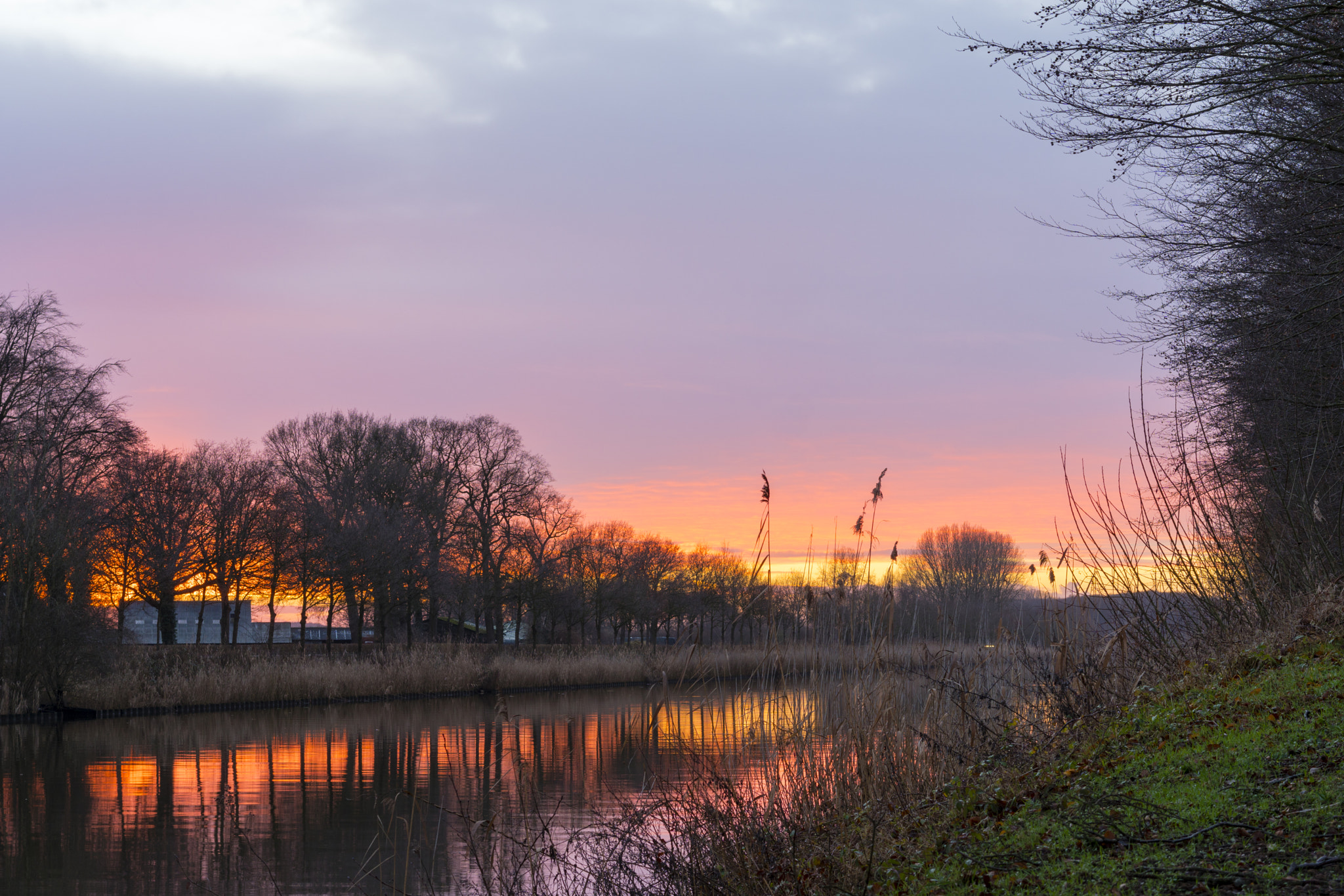 Sony a6300 + Sony Sonnar T* FE 55mm F1.8 ZA sample photo. Meenweg 2 of 2, goor, the netherlands photography