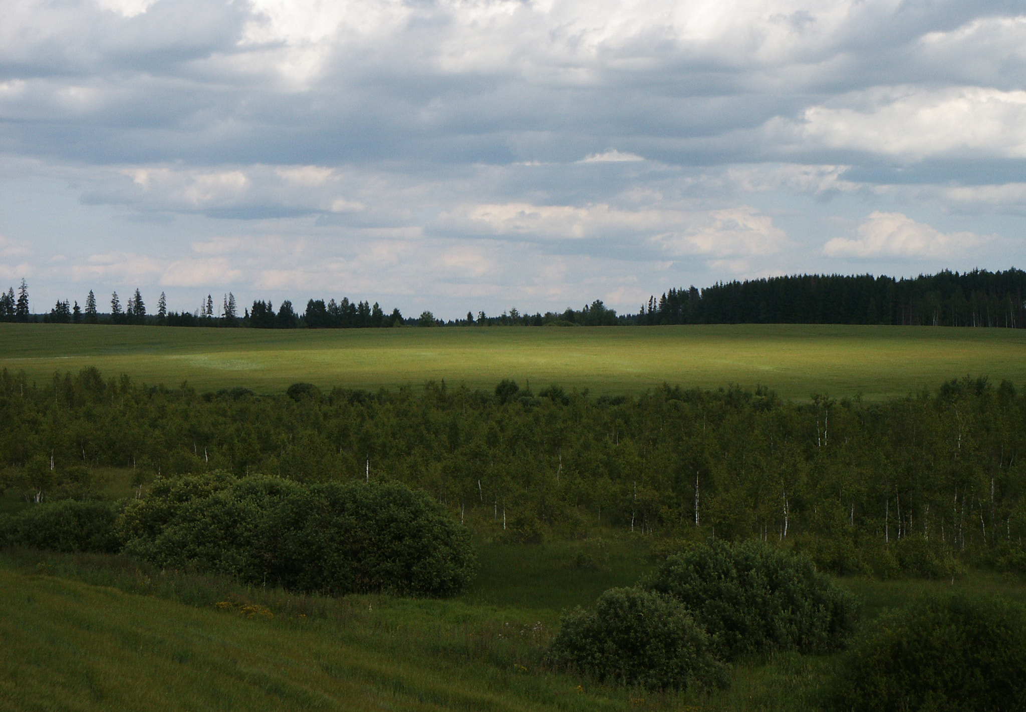 KONICA MINOLTA DiMAGE S414 sample photo. Green field 2 photography