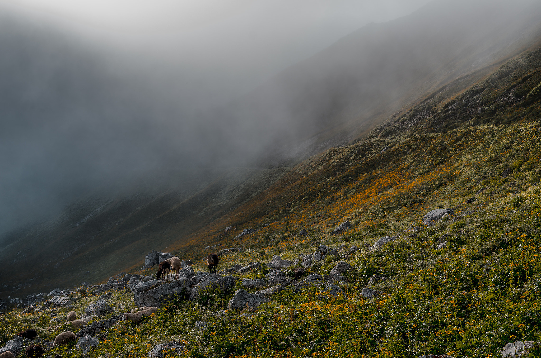 Pentax K-5 sample photo. Mount okhachkue photography