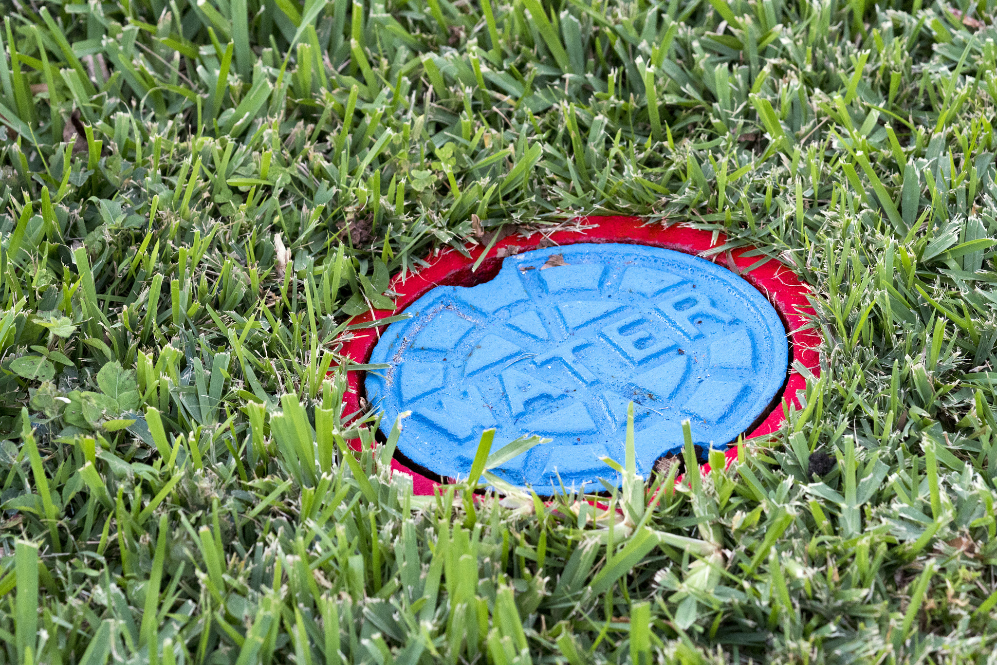 Sony a6500 + Sony FE 90mm F2.8 Macro G OSS sample photo. Water valve in grass photography