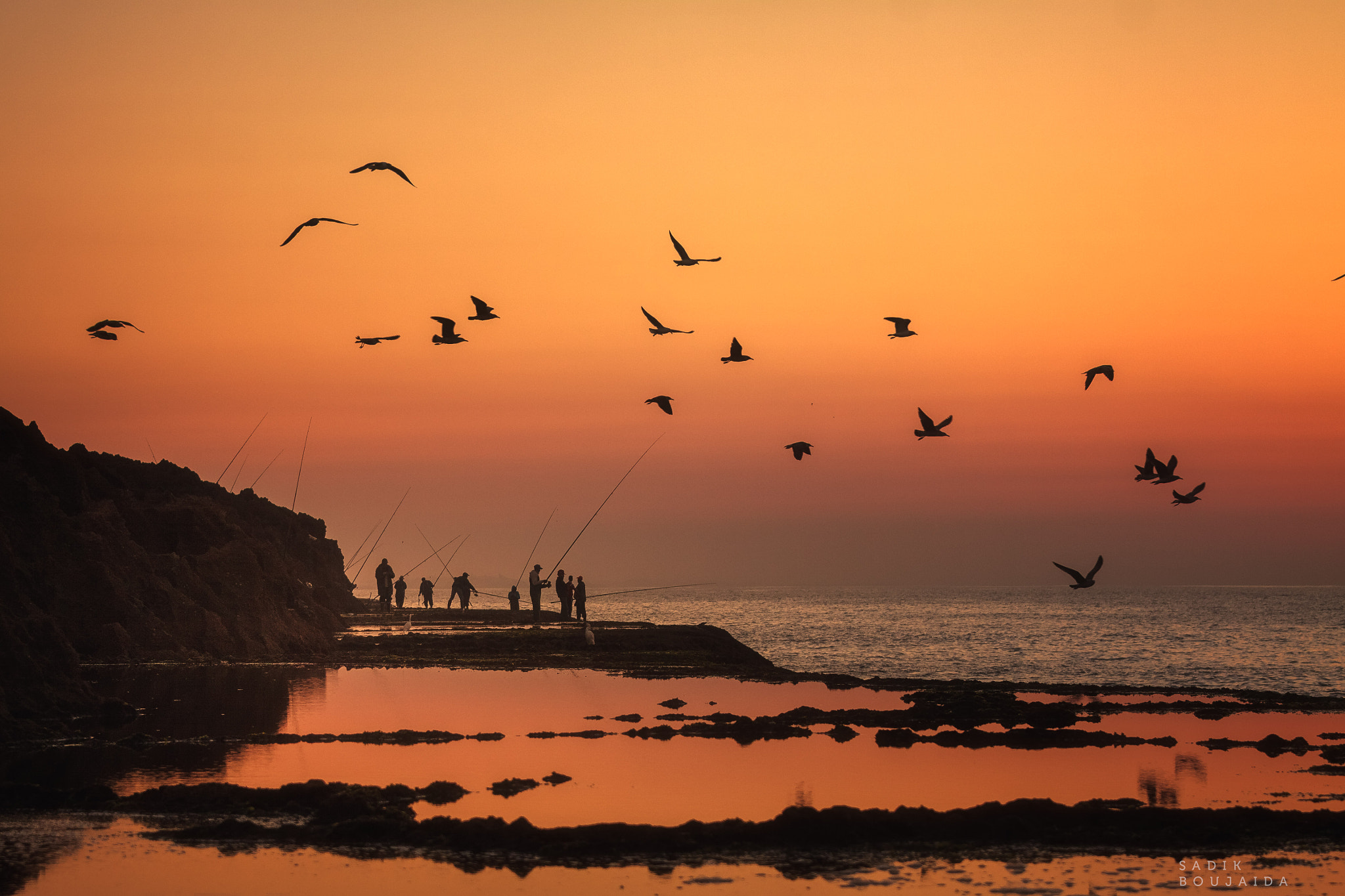 Canon EOS 50D + Canon EF 70-200mm F4L IS USM sample photo. Segulls and fishers photography