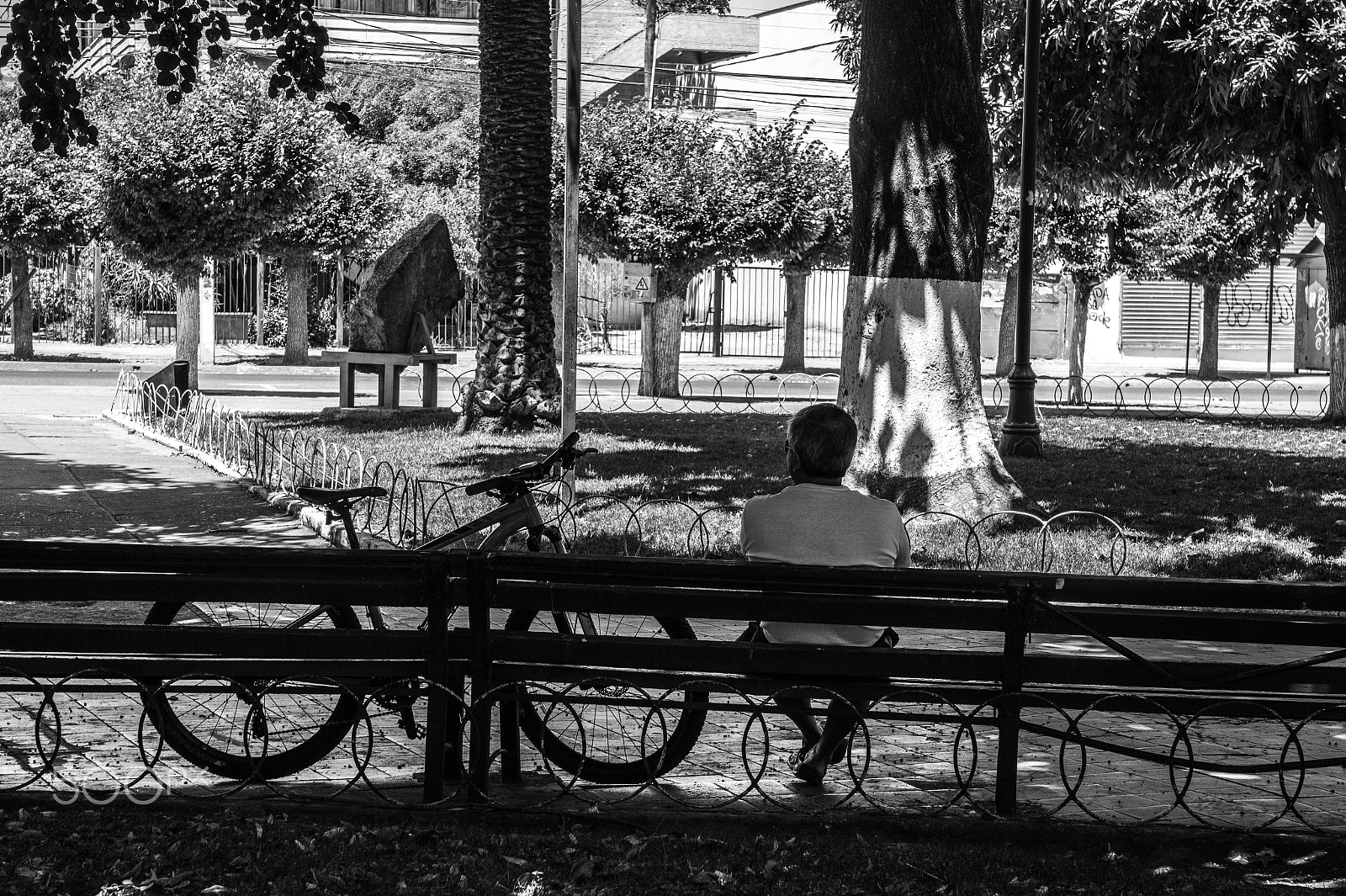 Sony SLT-A58 + Sony DT 16-50mm F2.8 SSM sample photo. Bikerman photography
