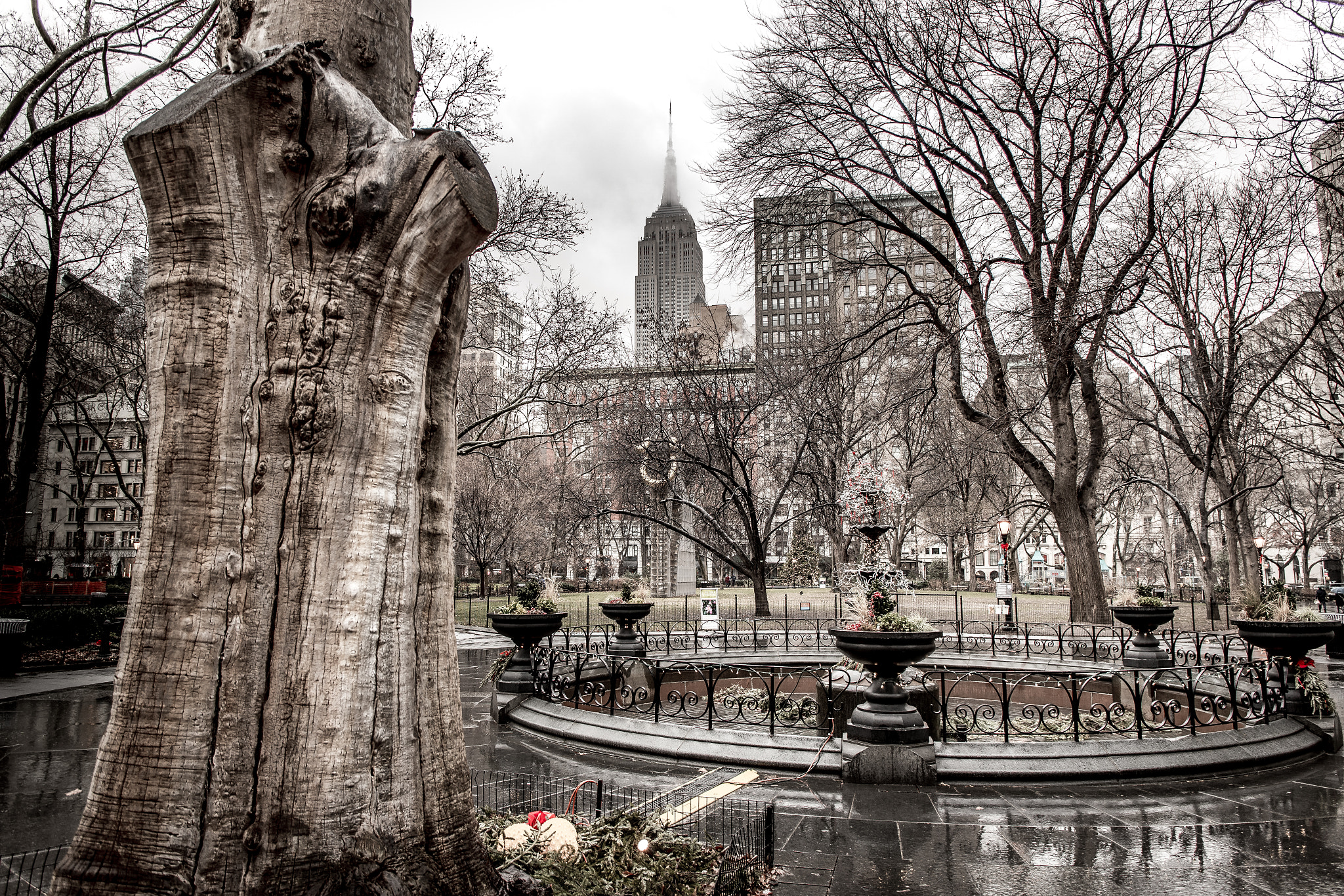 Canon EF 24-70mm F4L IS USM sample photo. Rainy day in madison sq park photography