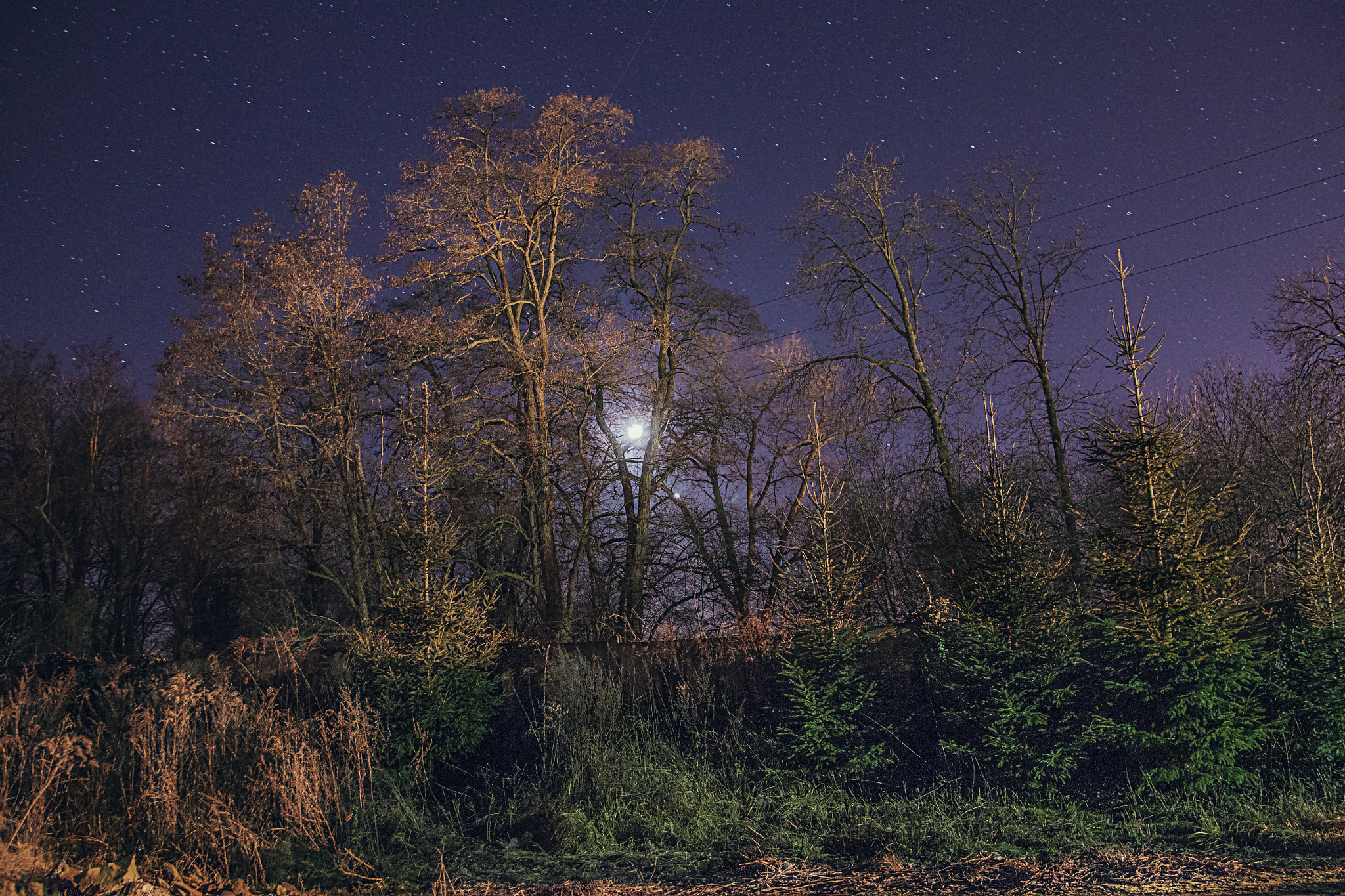 Canon EF-S 17-55mm F2.8 IS USM sample photo. Goodnight moon photography