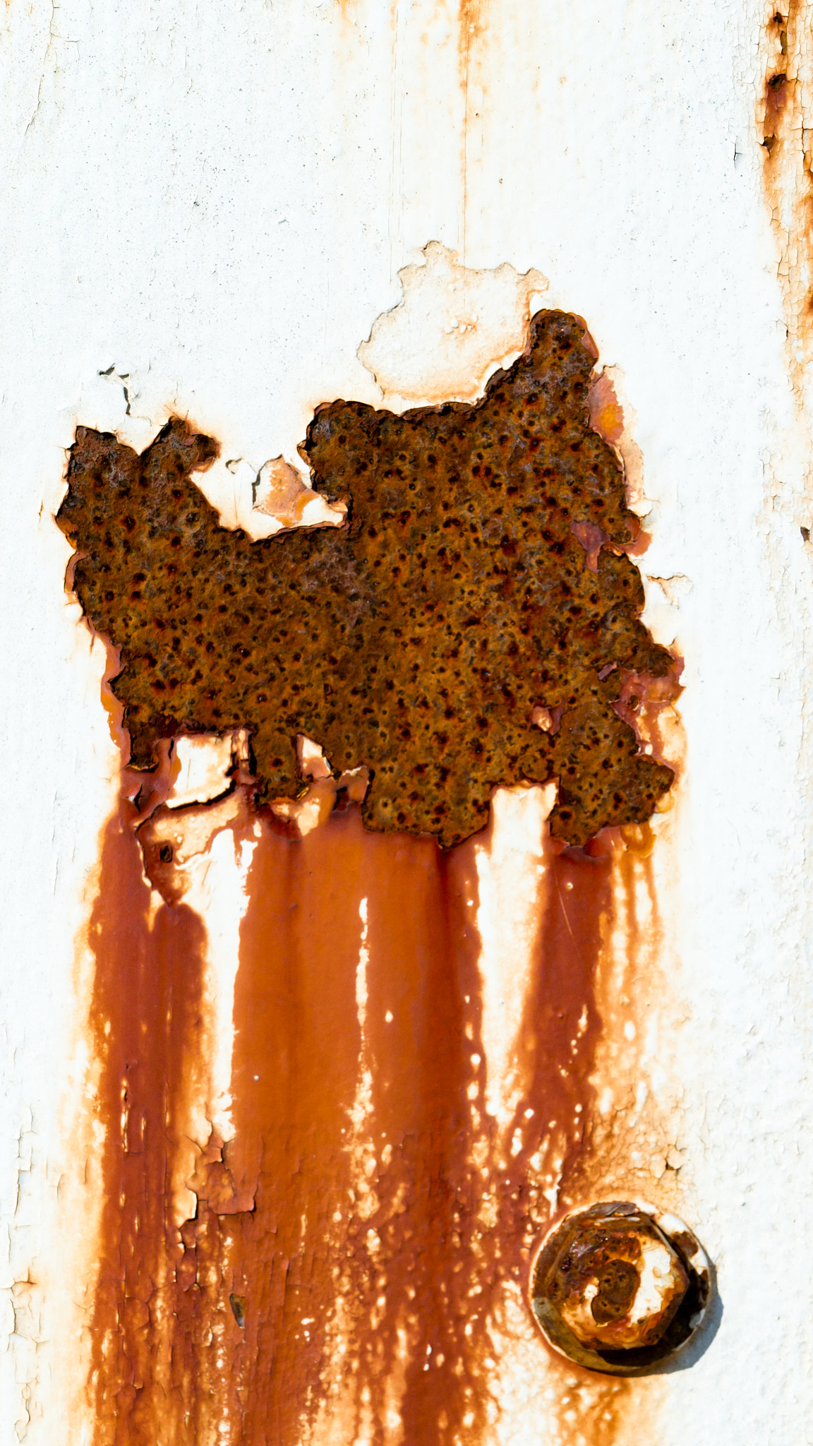 Panasonic Lumix DMC-G6 sample photo. Rust texture photography