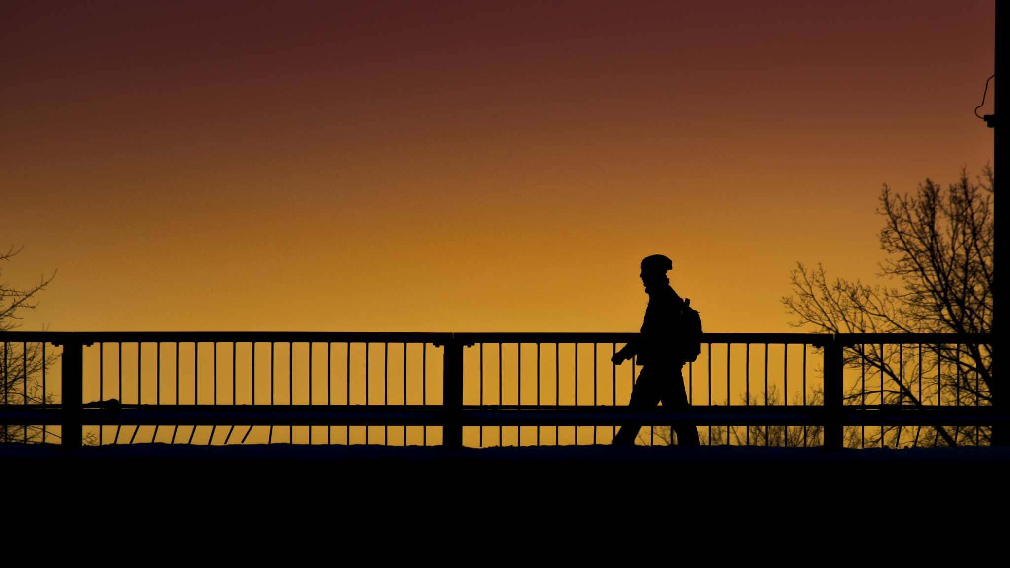 smc PENTAX-DA L 50-200mm F4-5.6 ED sample photo. Le marcheur photography