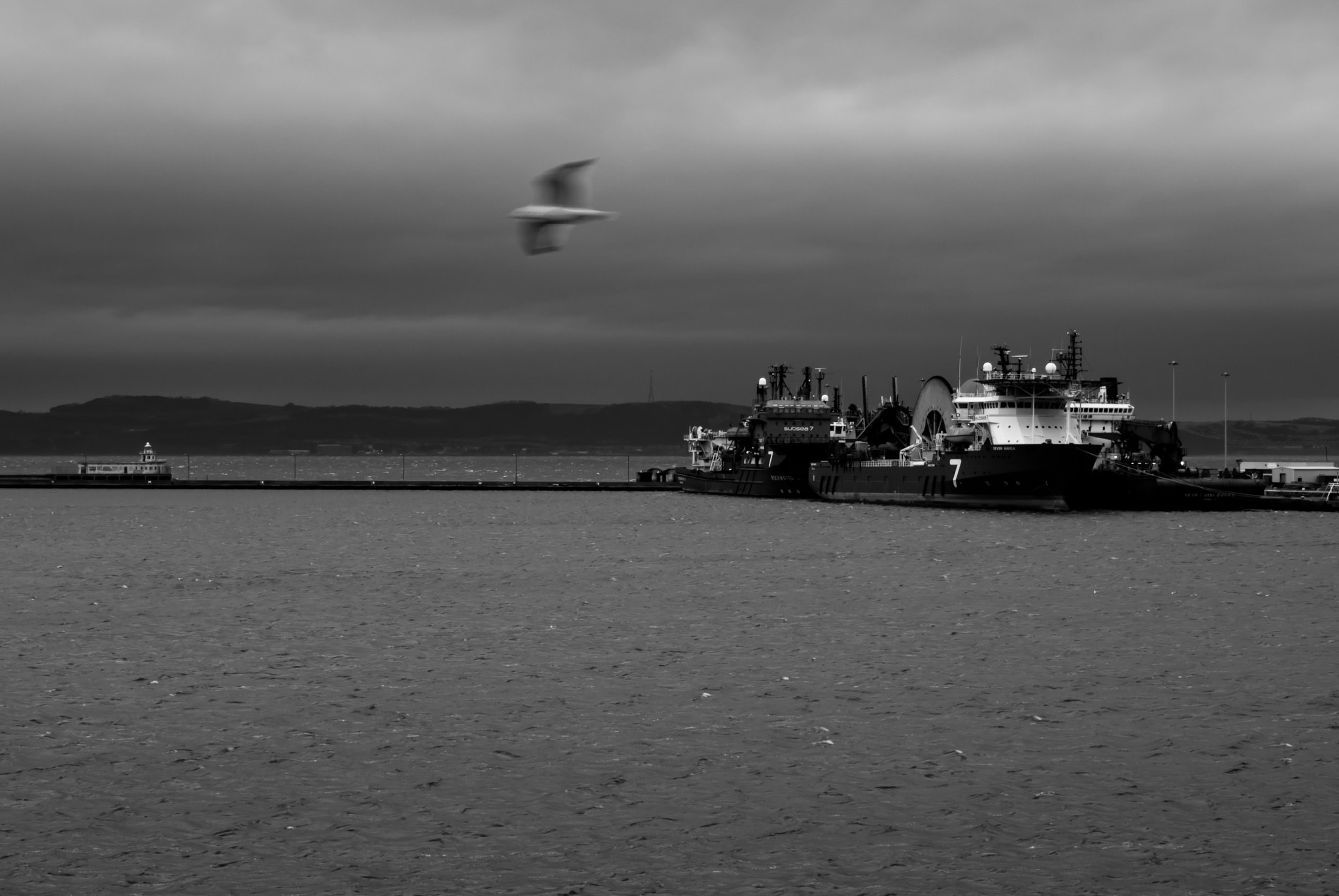Nikon 1 Nikkor VR 10-30mm F3.5-5.6 sample photo. Flying away photography