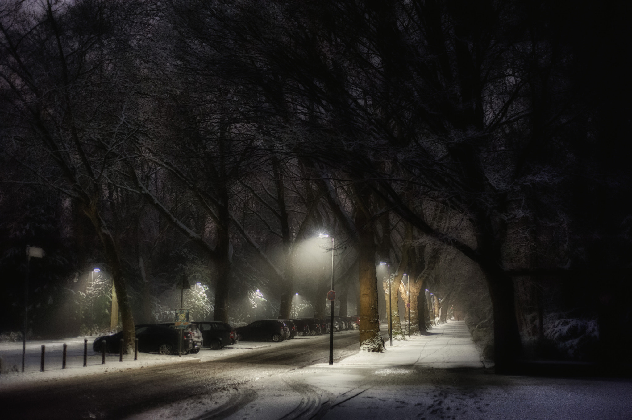 Nikon D700 + AF Nikkor 50mm f/1.8 sample photo. Winter morning with some snow photography